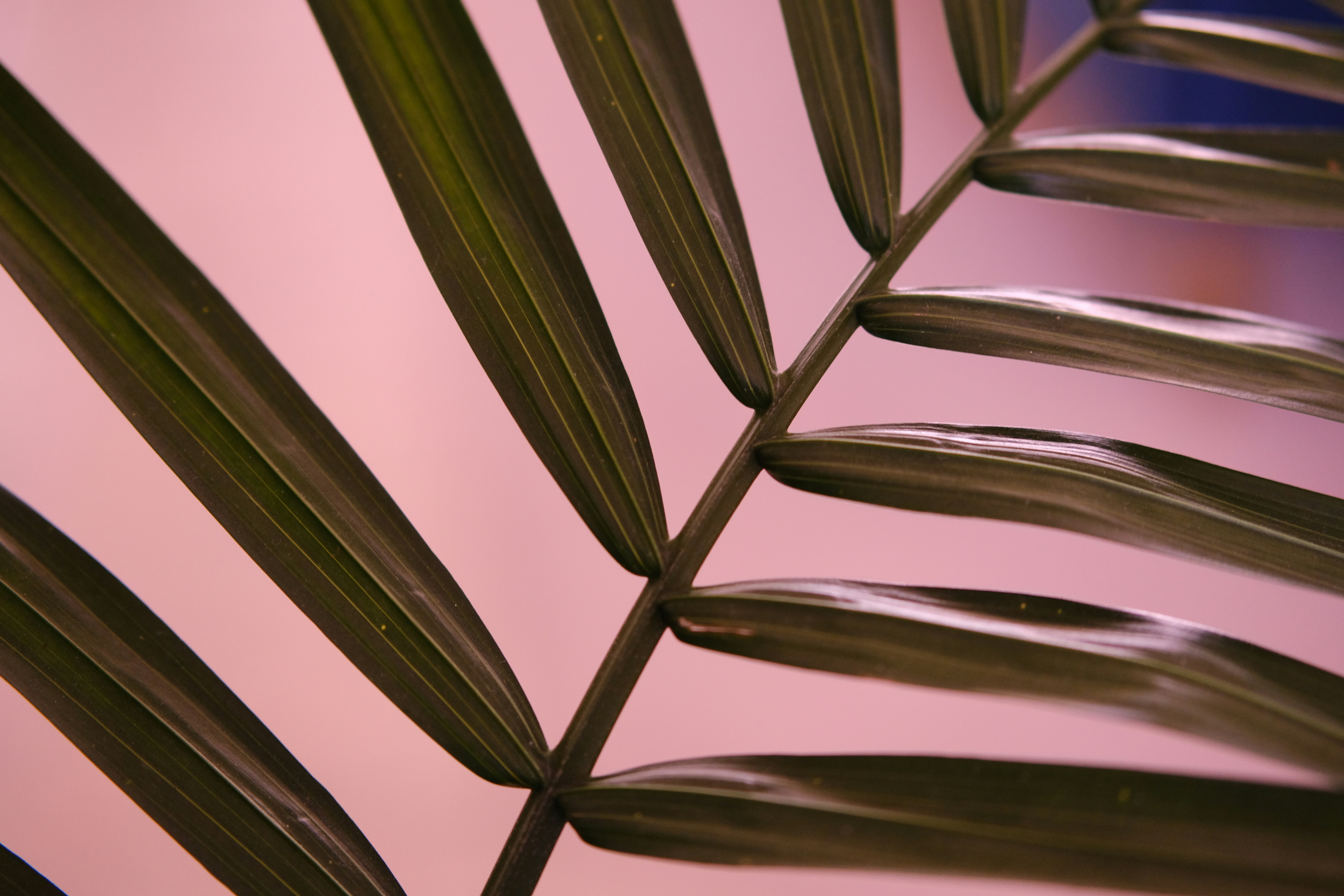 Photo by marsha_reid