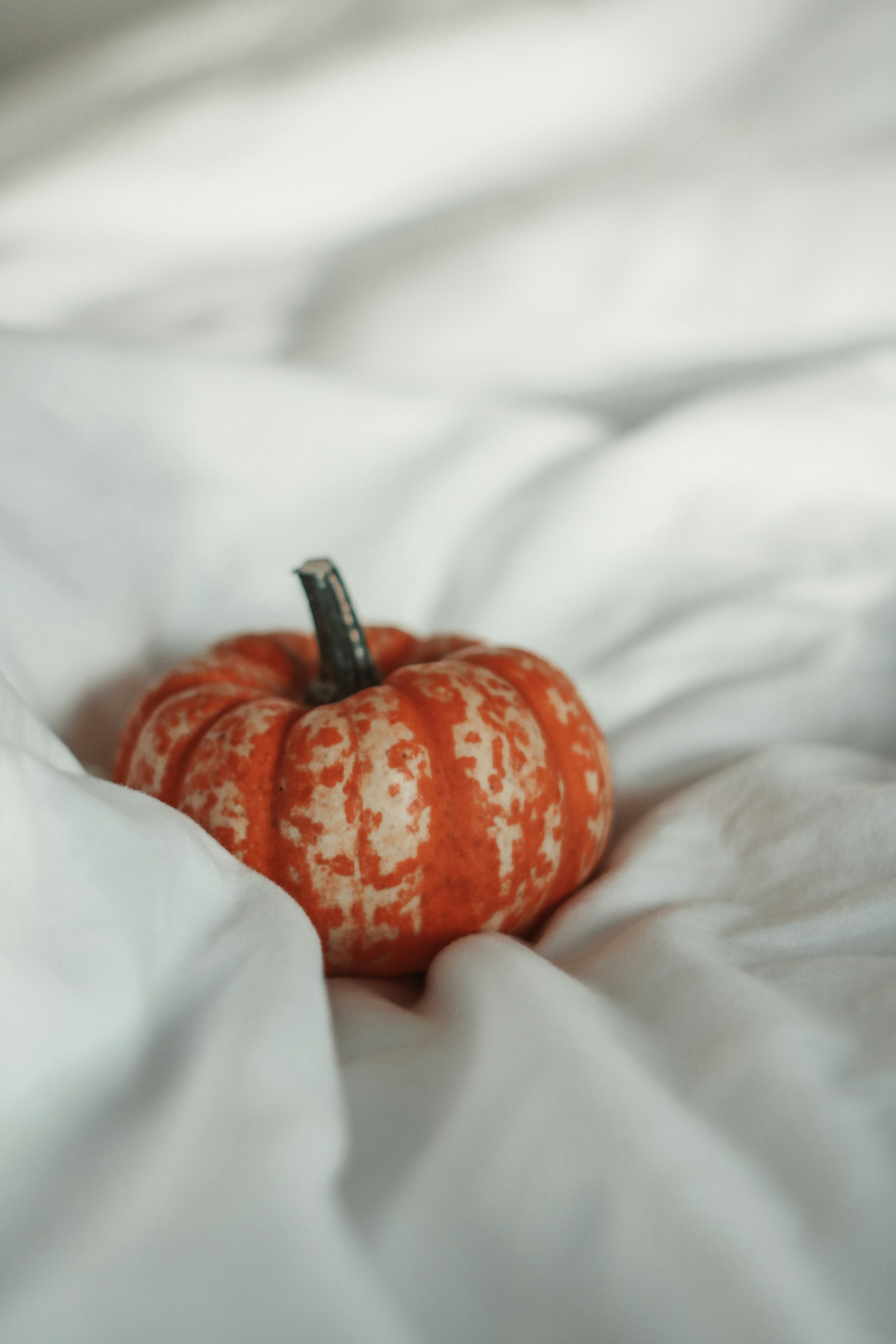 Photo by focalinsight