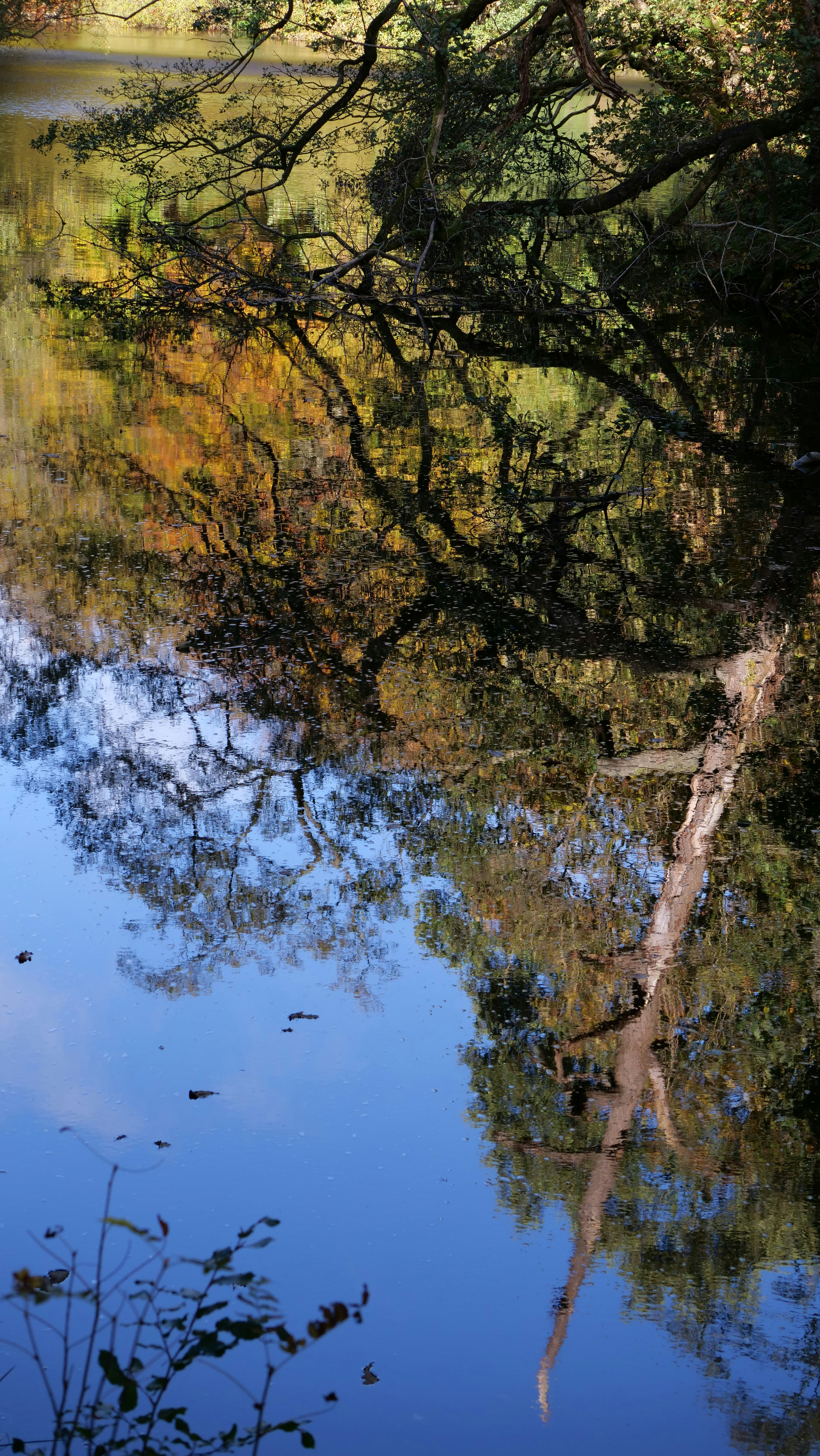 Photo by bryan151055