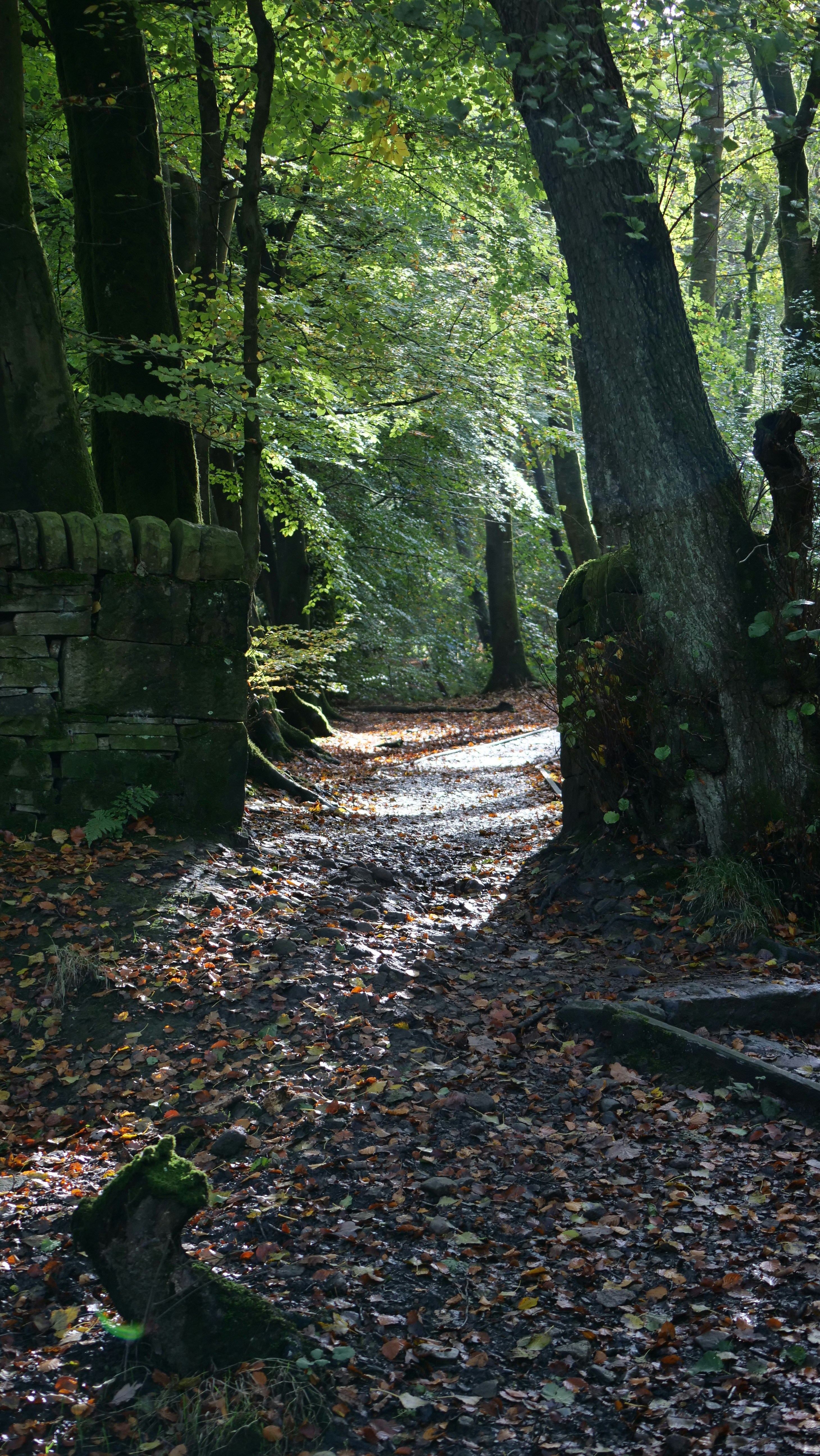 Photo by bryan151055