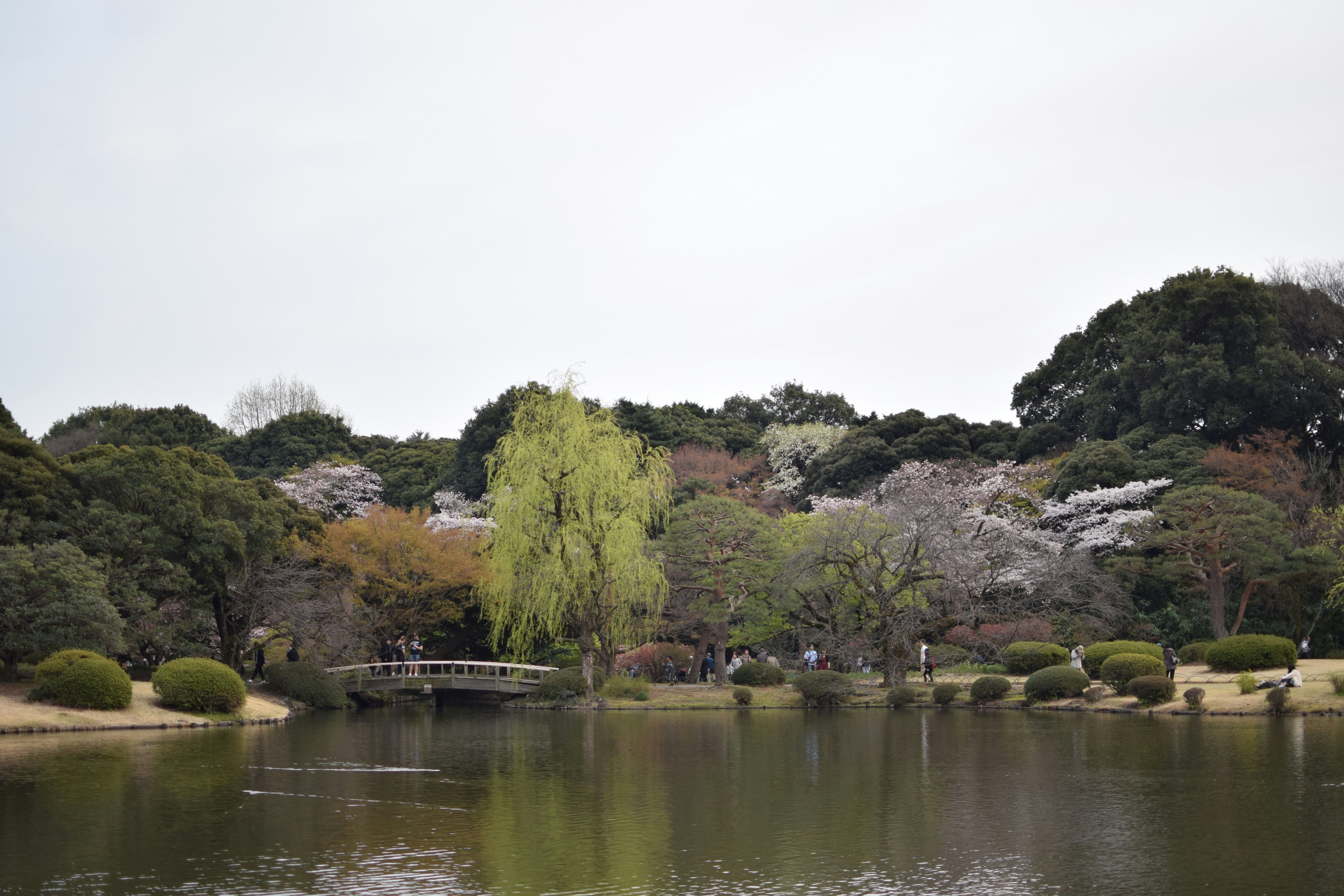 Photo by twirl