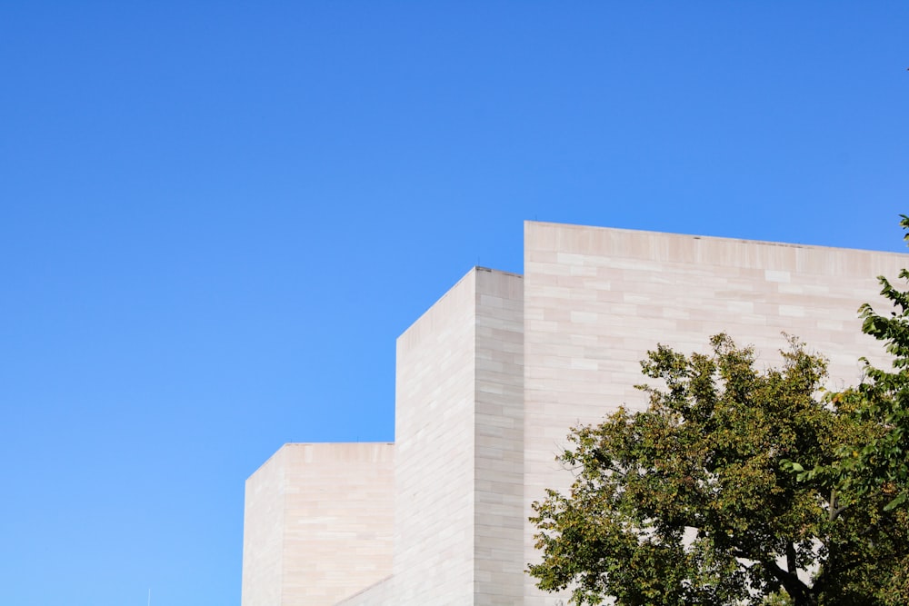 a tree next to a building