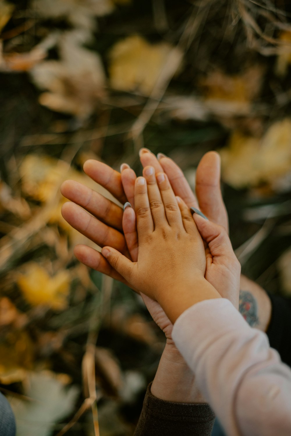 a pair of hands holding each other