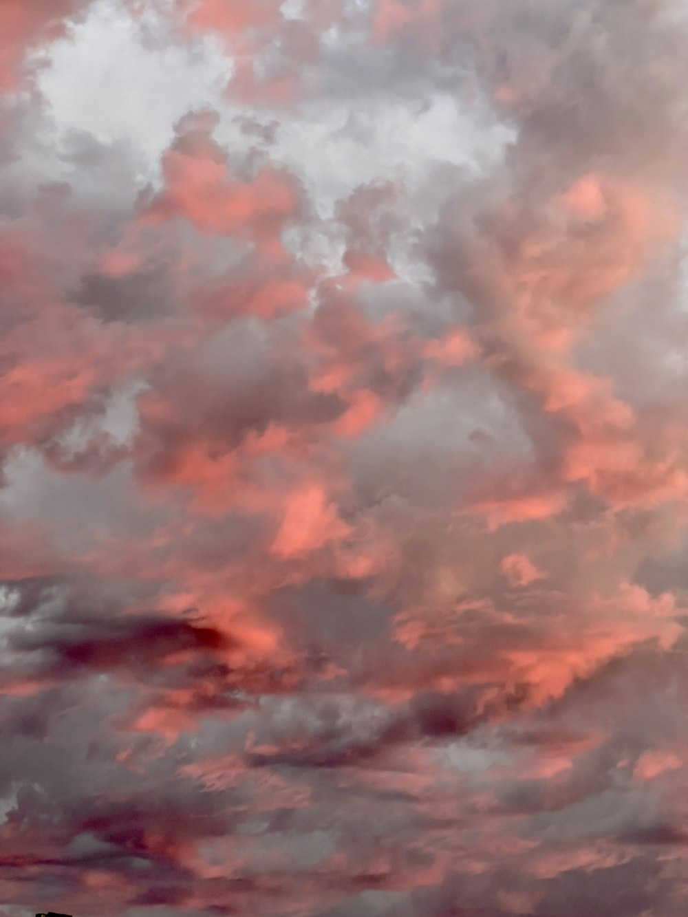 un cielo rosa e viola