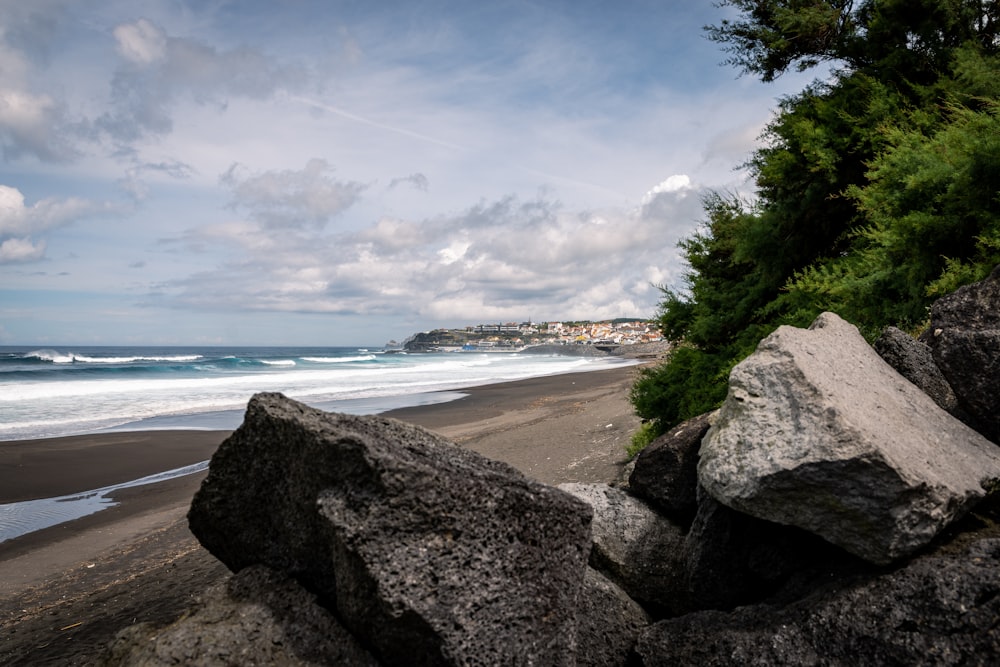 a rocky beach with trees and water