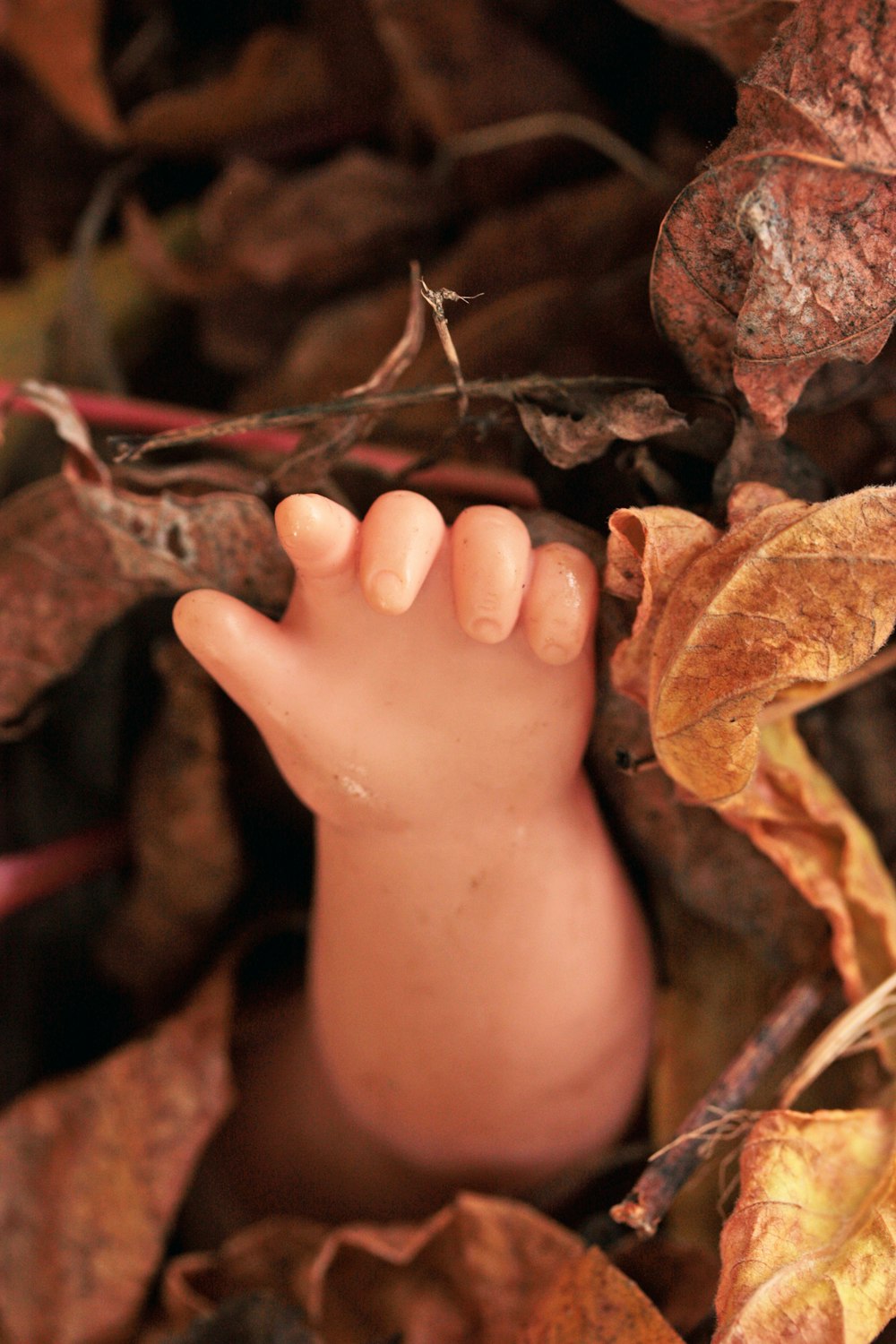 a person's foot in a pile of leaves