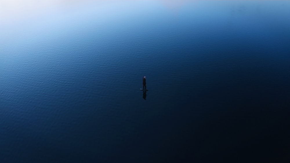 a person on a small island in the water