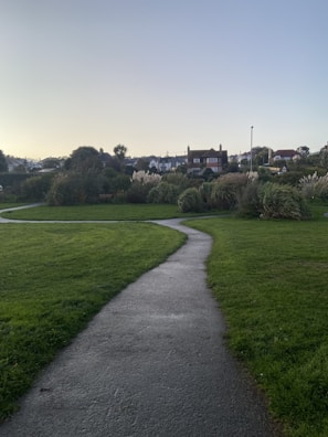 Walking path winding through the peaceful Wzgórza Krzesławickie district near the residences.