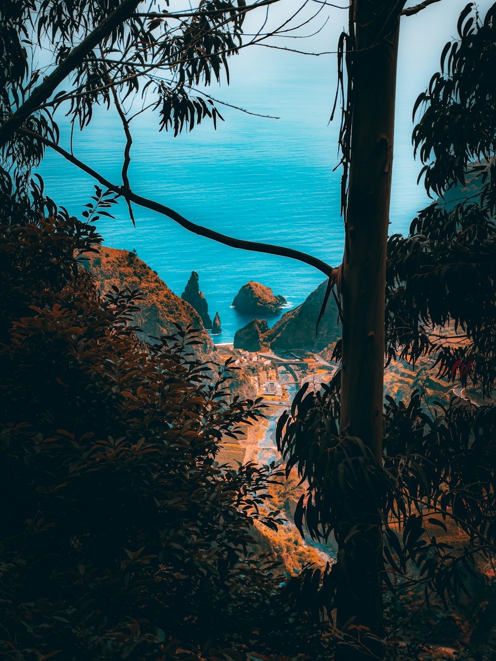 a rocky beach with trees and a body of water in the background