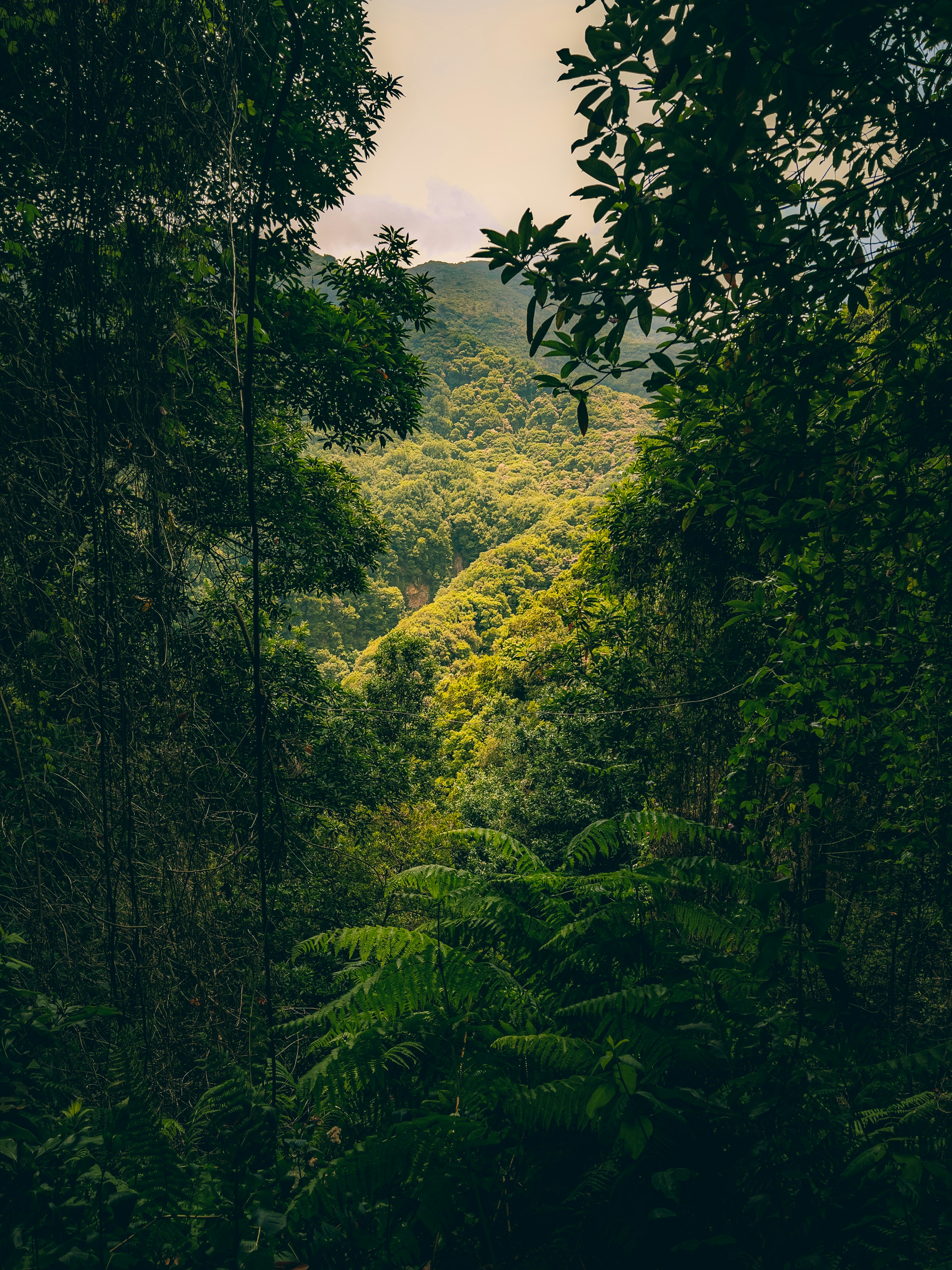 Photo by fantasyflip