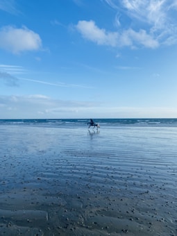 Photo 1666031026604 639b4f9ce7d2?q=85&w=340&h=340&fit=crop