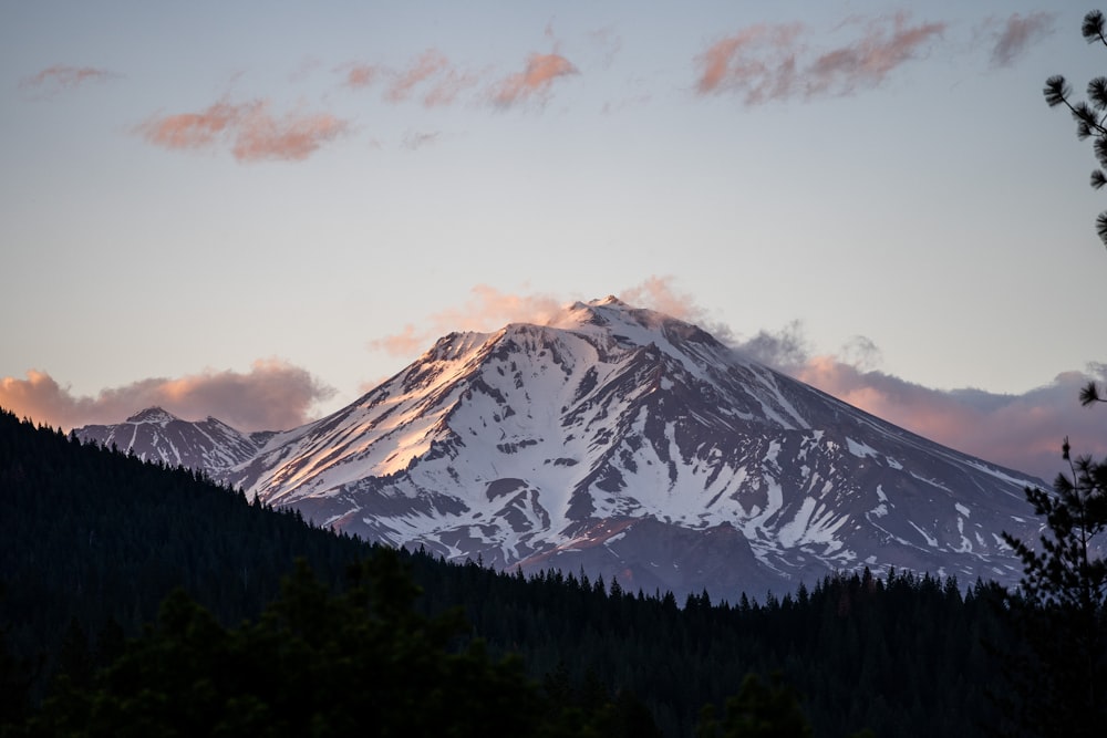 a snowy mountain with trees below