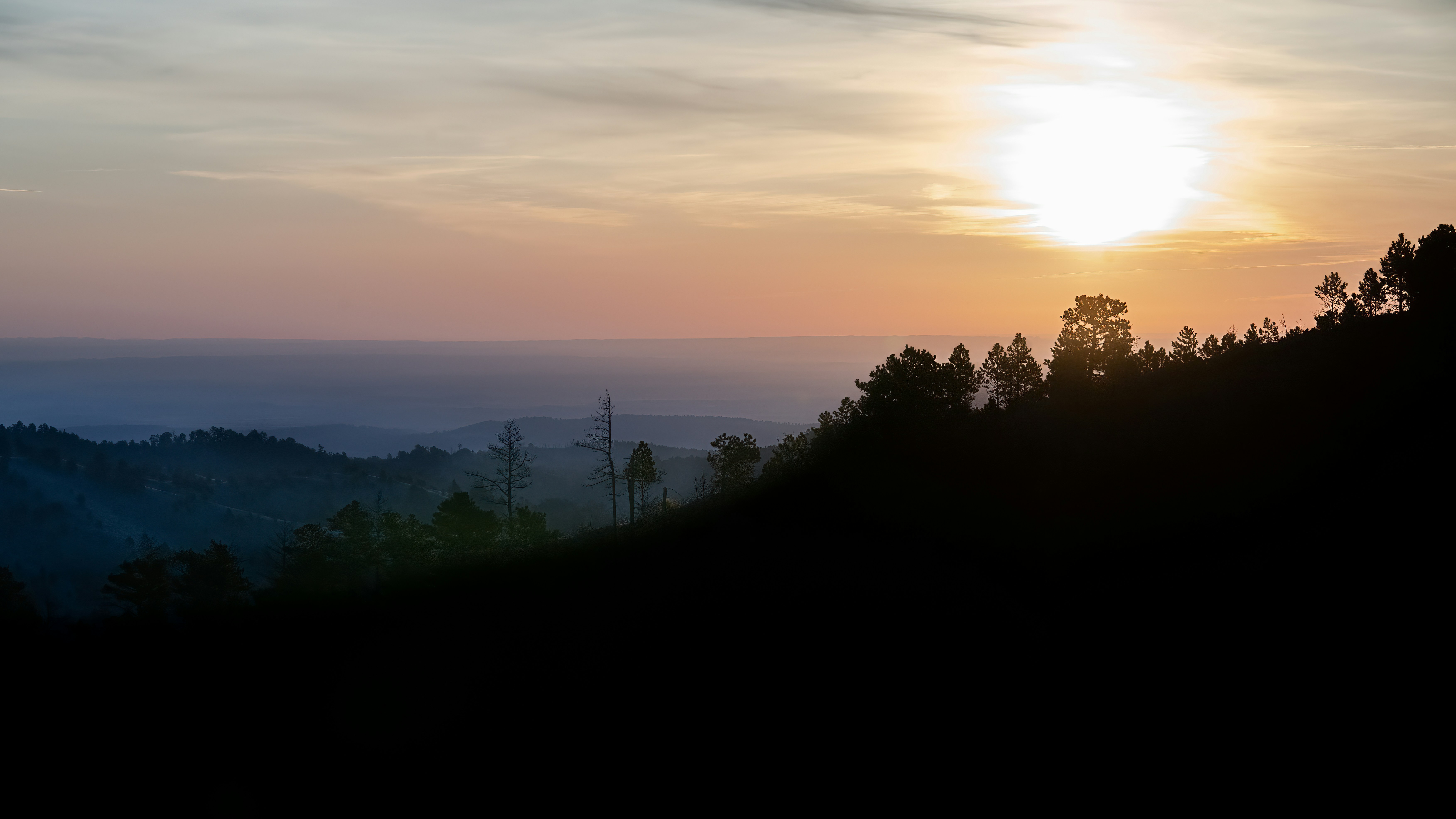 Photo by benisntfunny