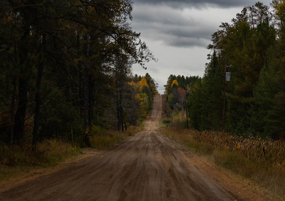 a dirt road surrounded by trees