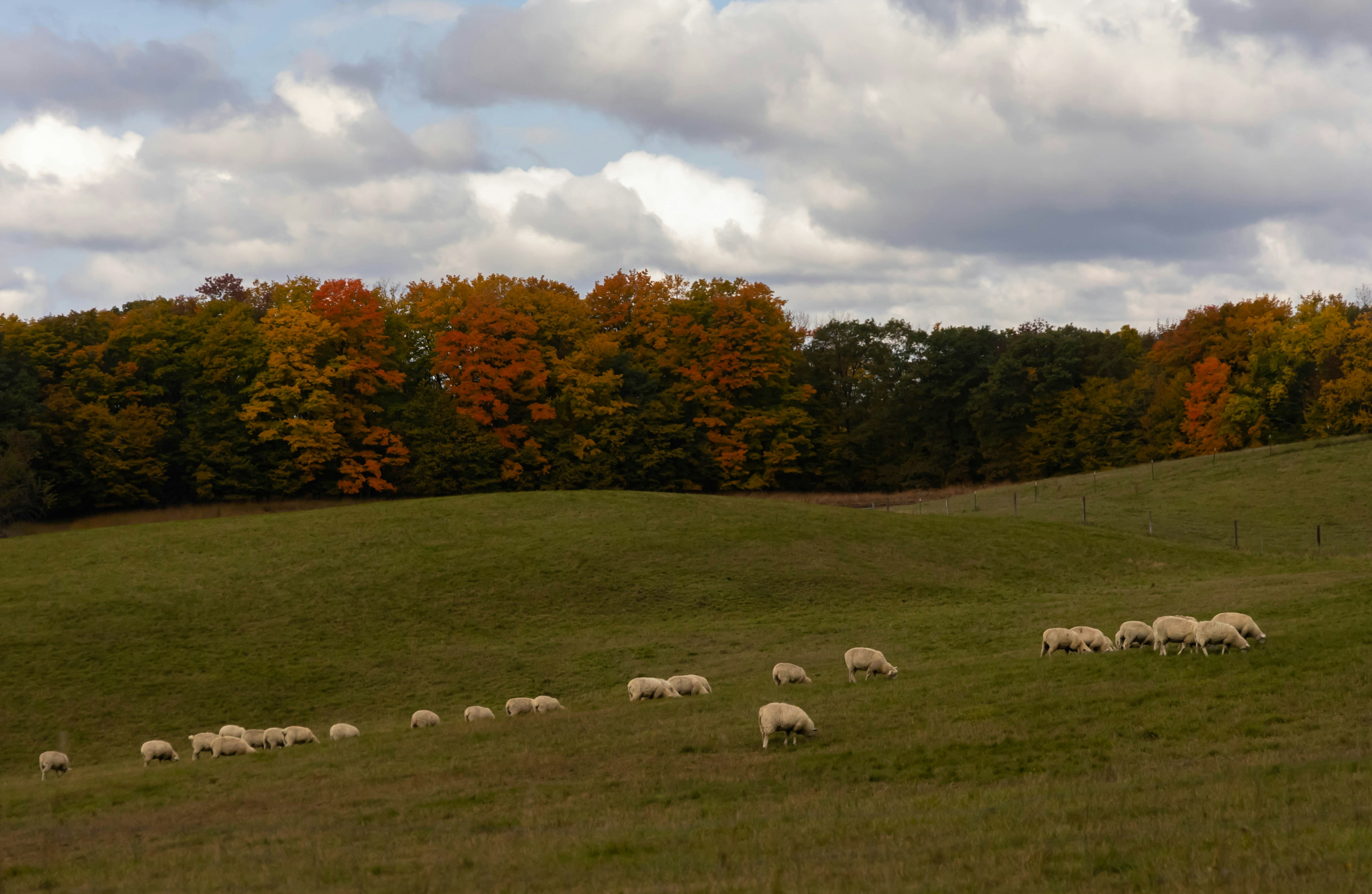 Big tech meets small town Kentucky; data centers want land while communities want answers