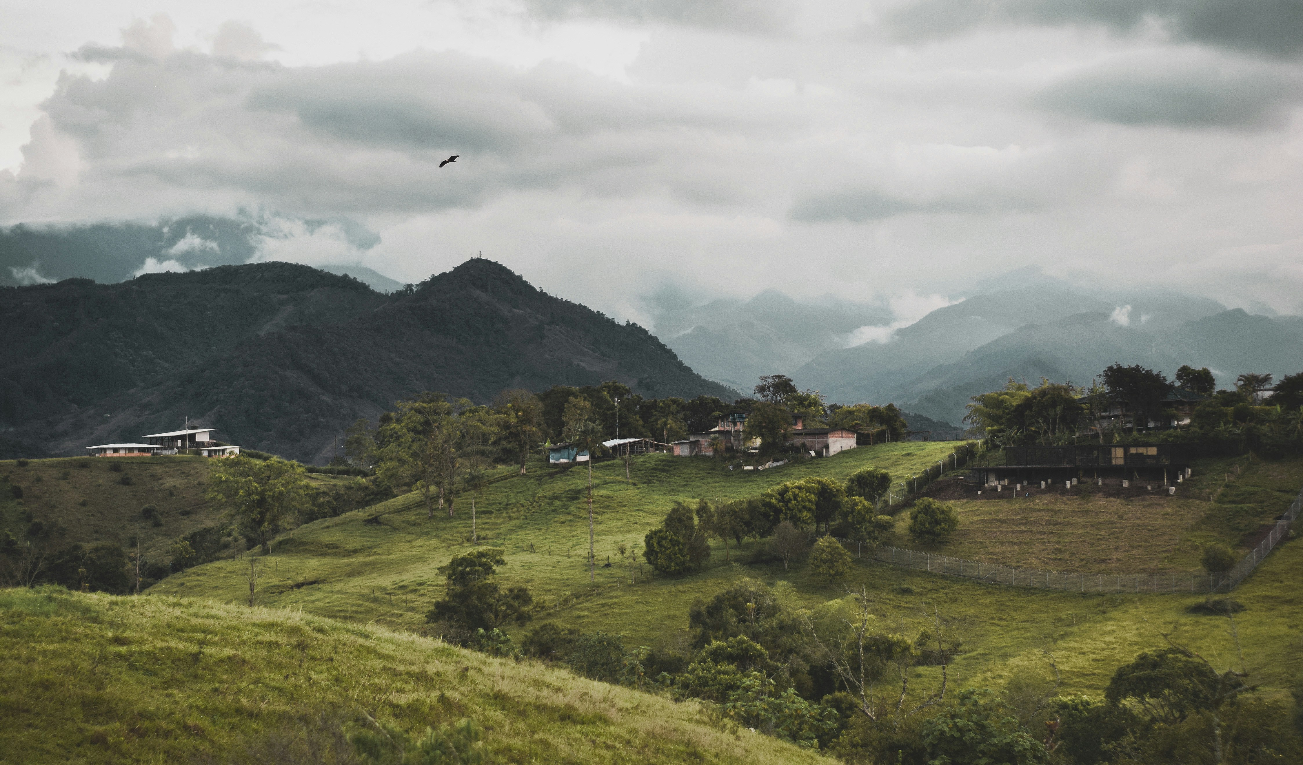 Photo by cherrycomplexes