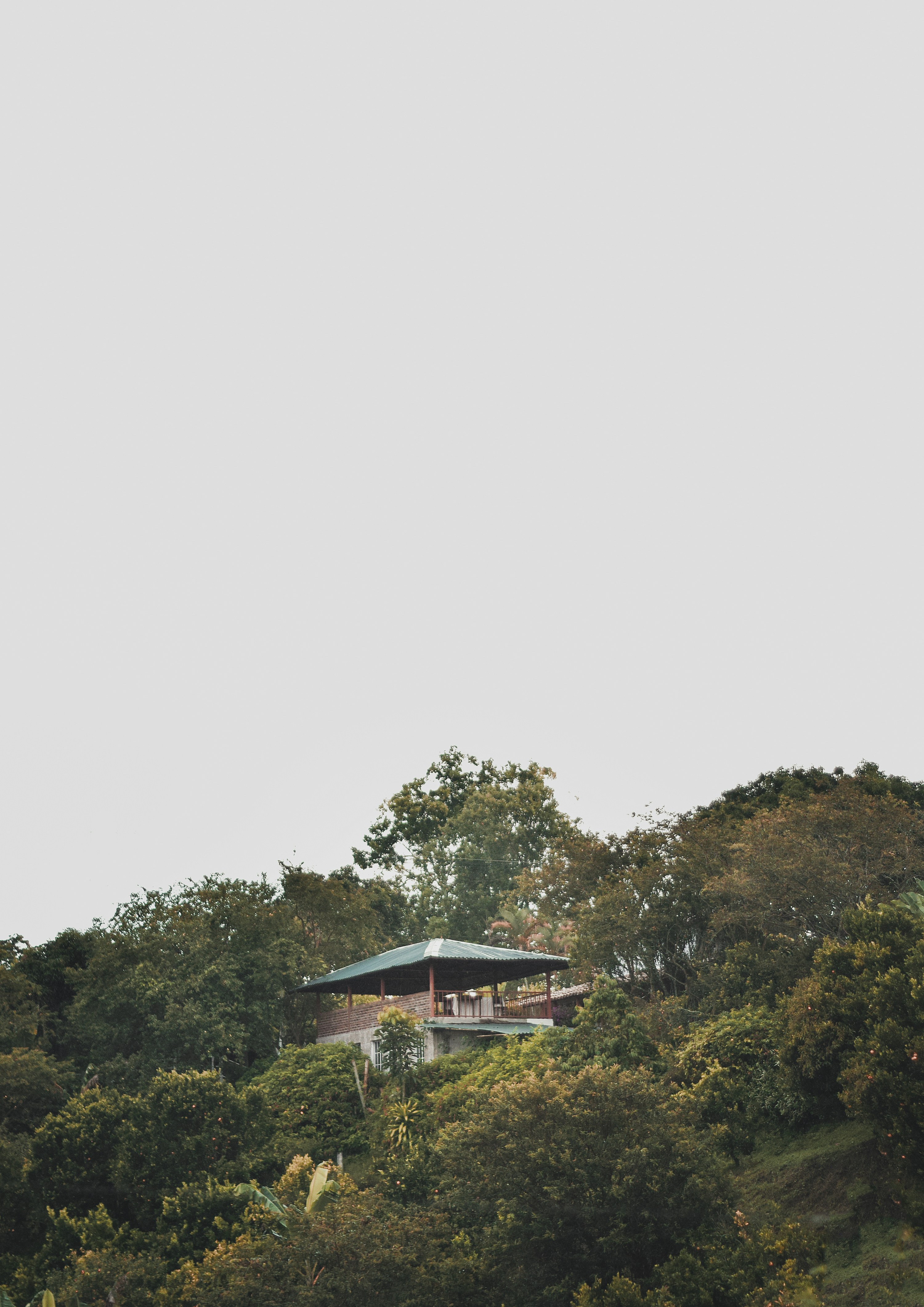 Photo by cherrycomplexes