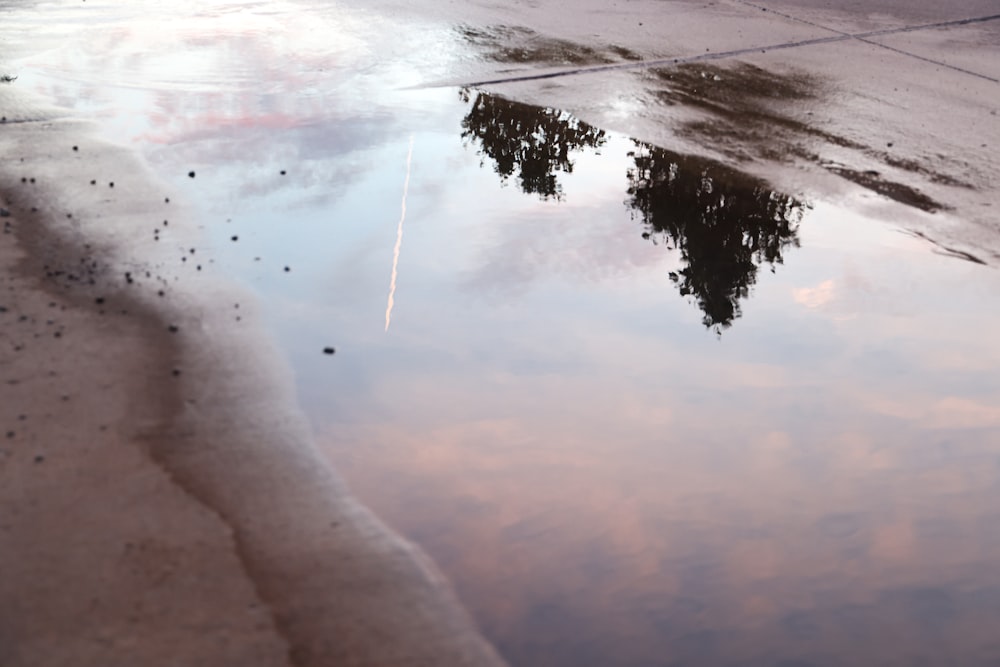 a puddle of water with a reflection of a person in it