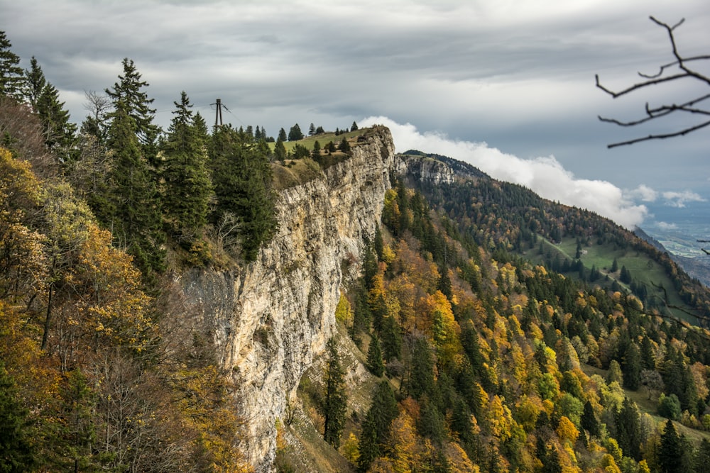 a rocky cliff with trees on it