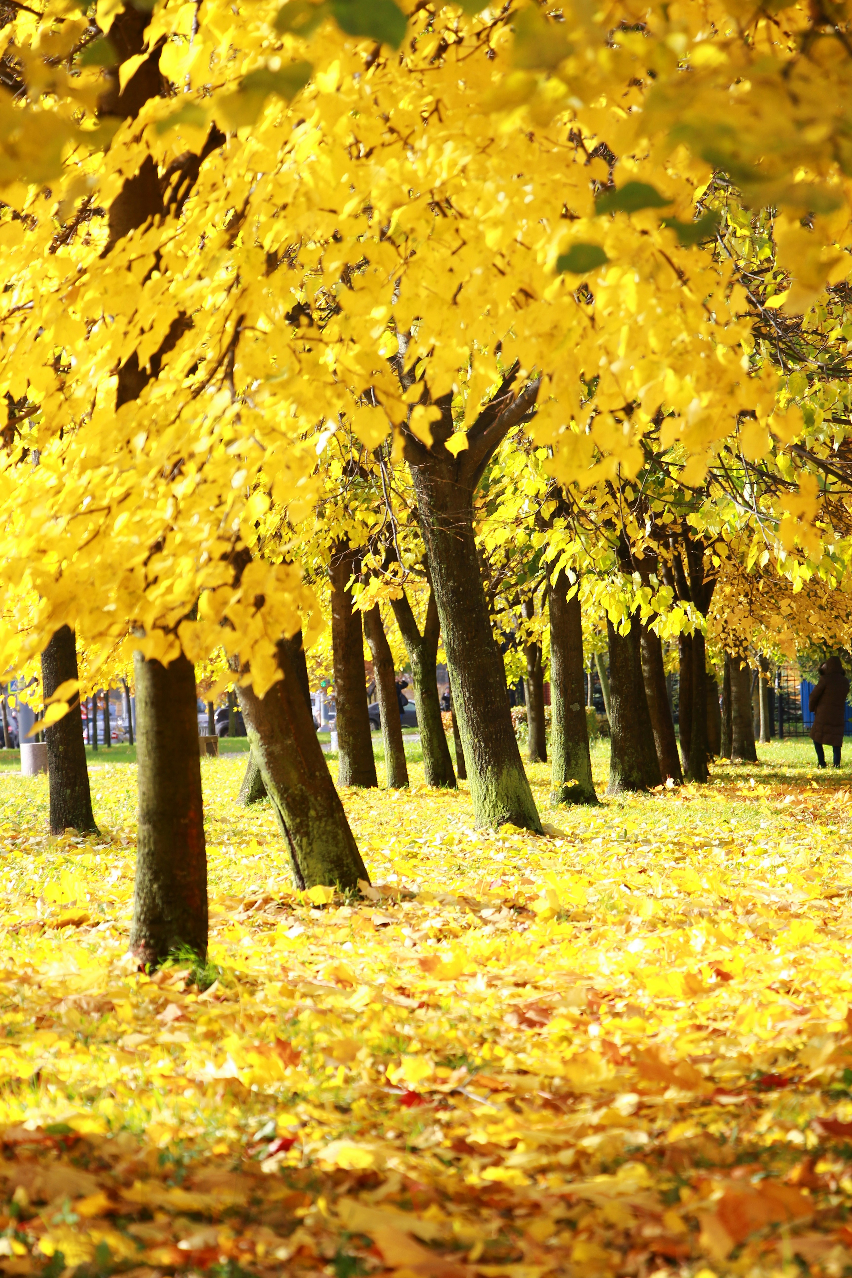 Photo by tashakostyuk