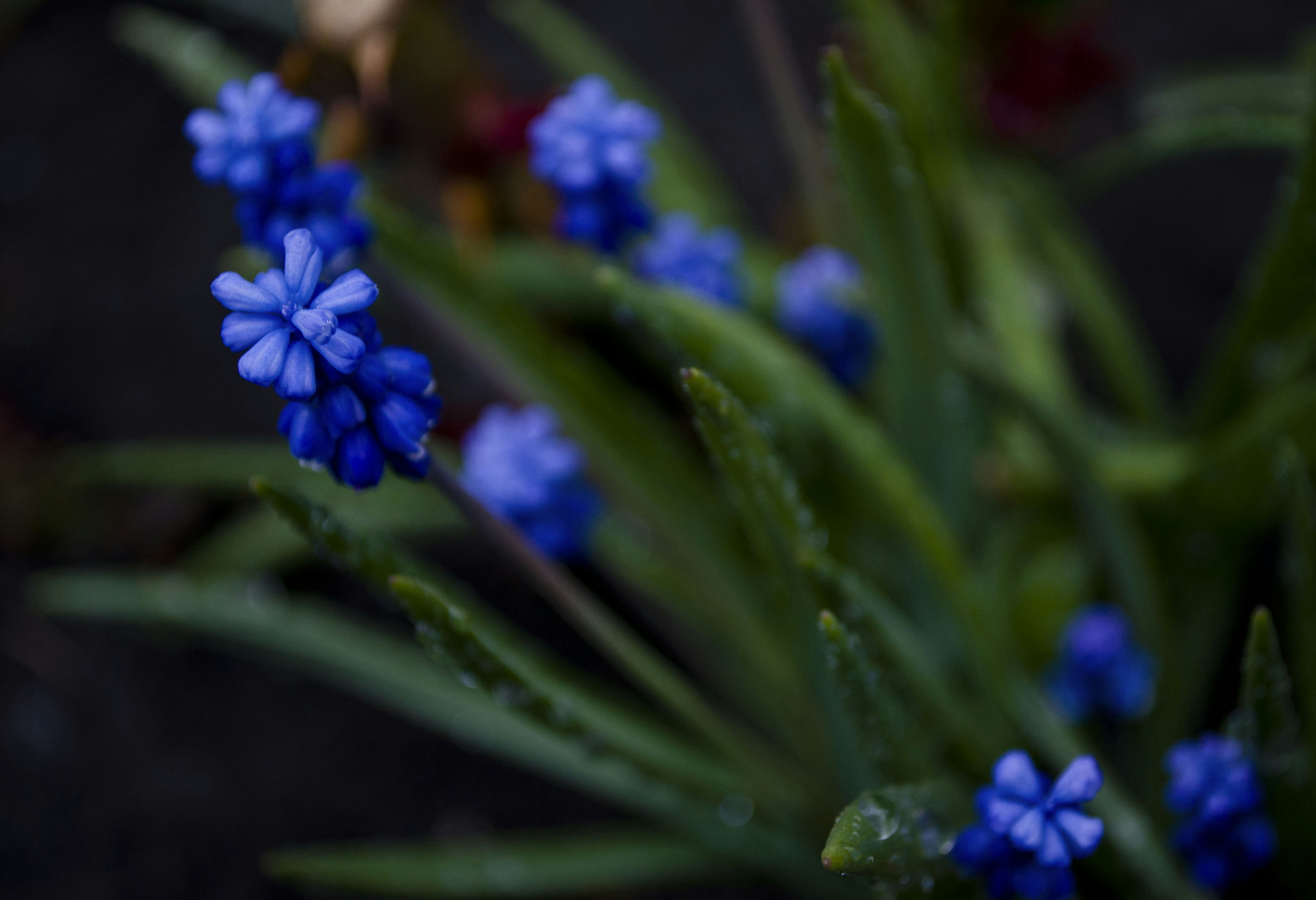 Photo by mari_kuklina