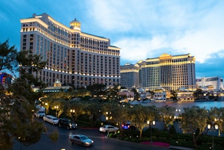 a city with a river and cars