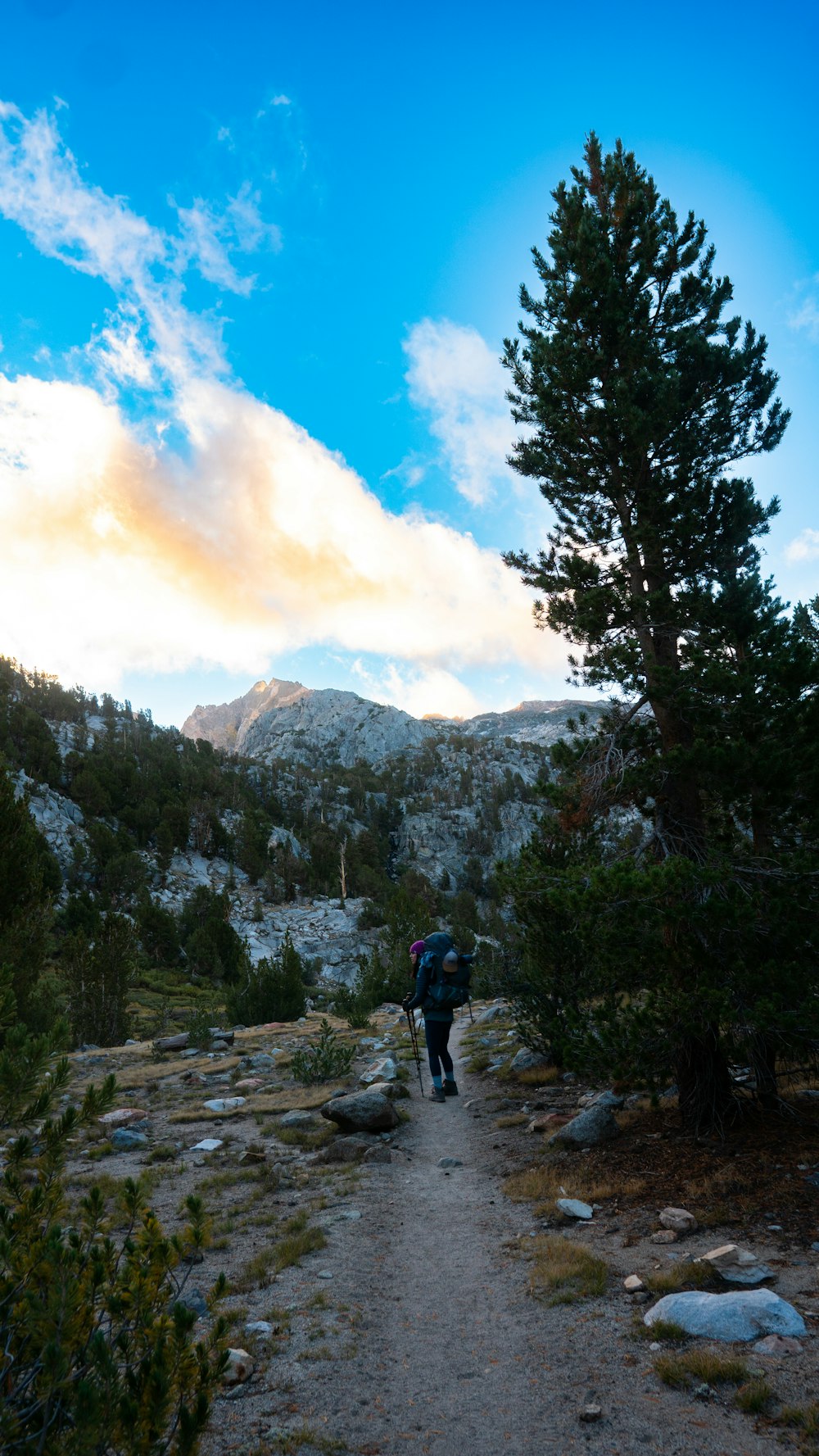 a person walking on a trail in the mountains