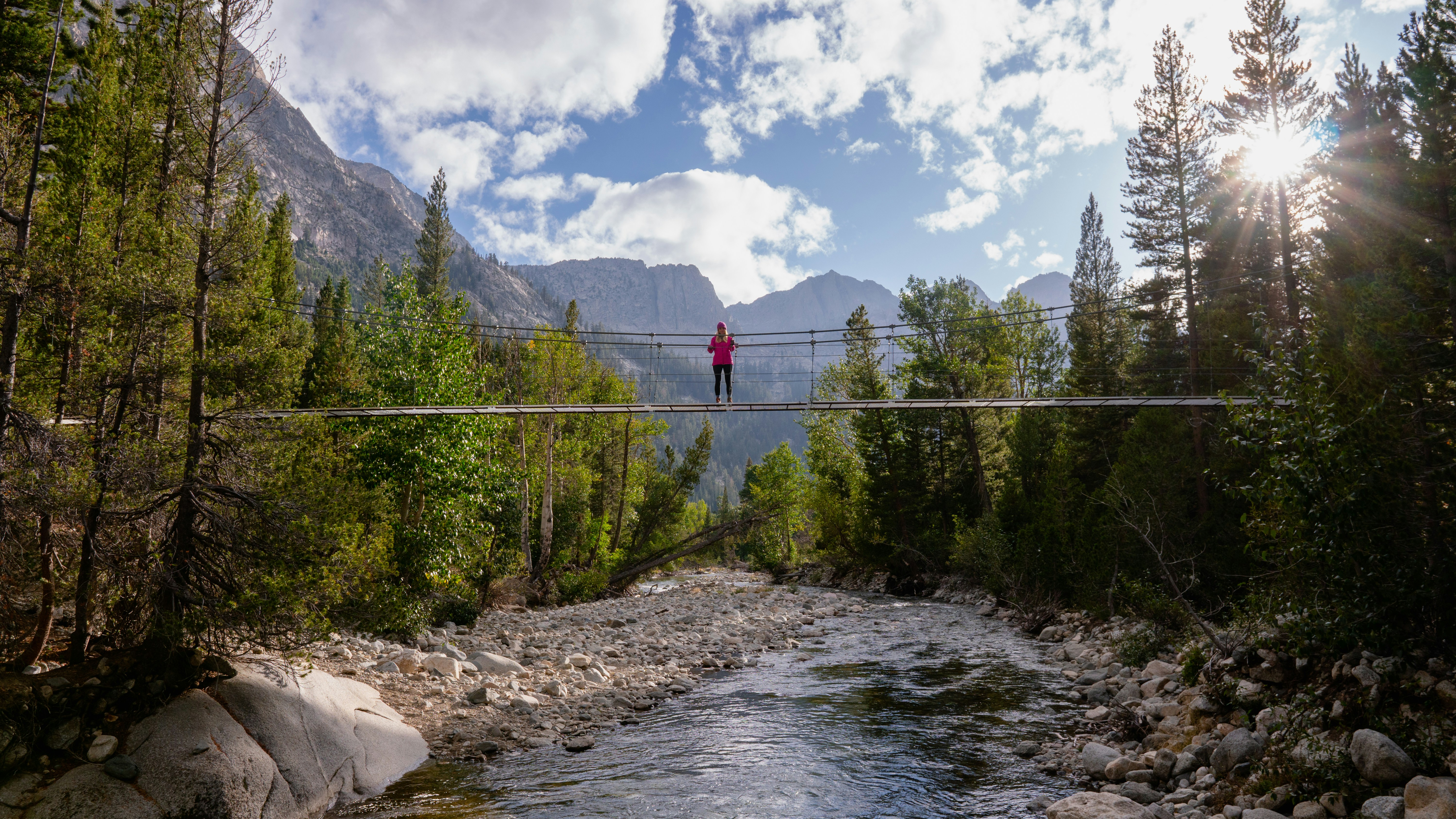 a person walking on a rocky path in a forest