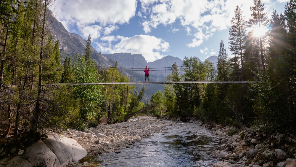 a person walking on a rocky path in a forest