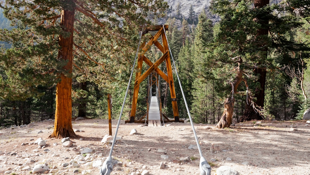 a swing set in a forest