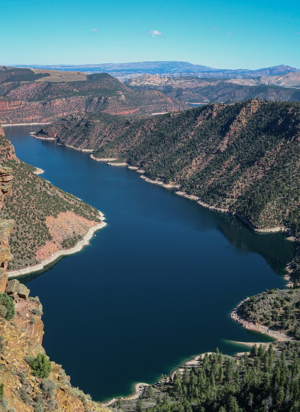 a river with a forest and mountains with Flaming Gorge Reservoir in the background