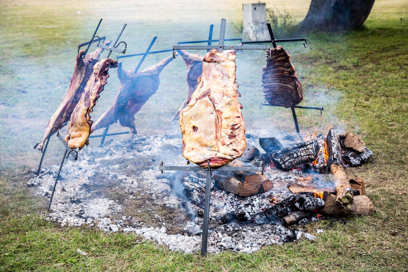 Whole cuts of beef roasting asador style, staked upright around an open wood fire
