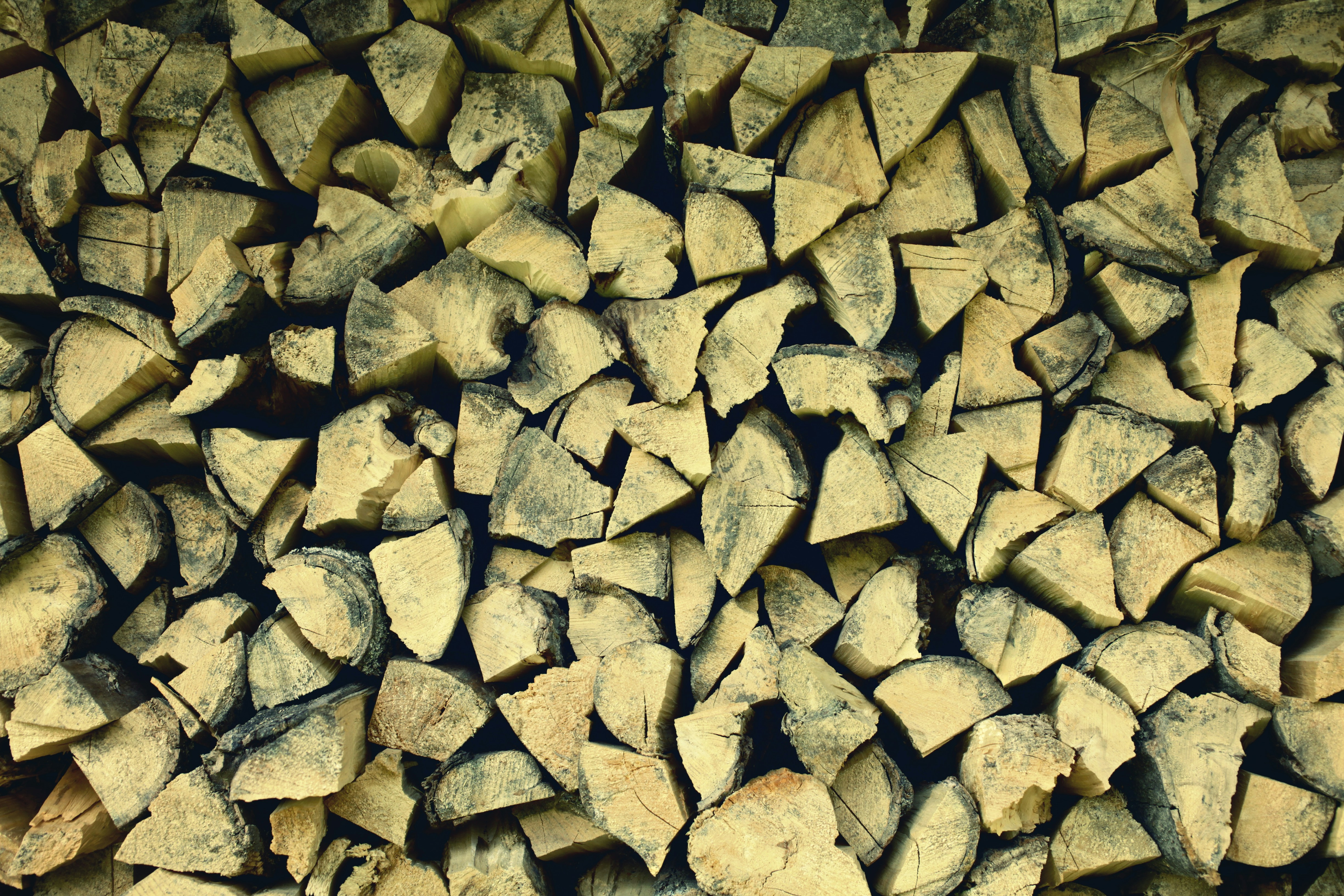 Photo by marek_ruczaj