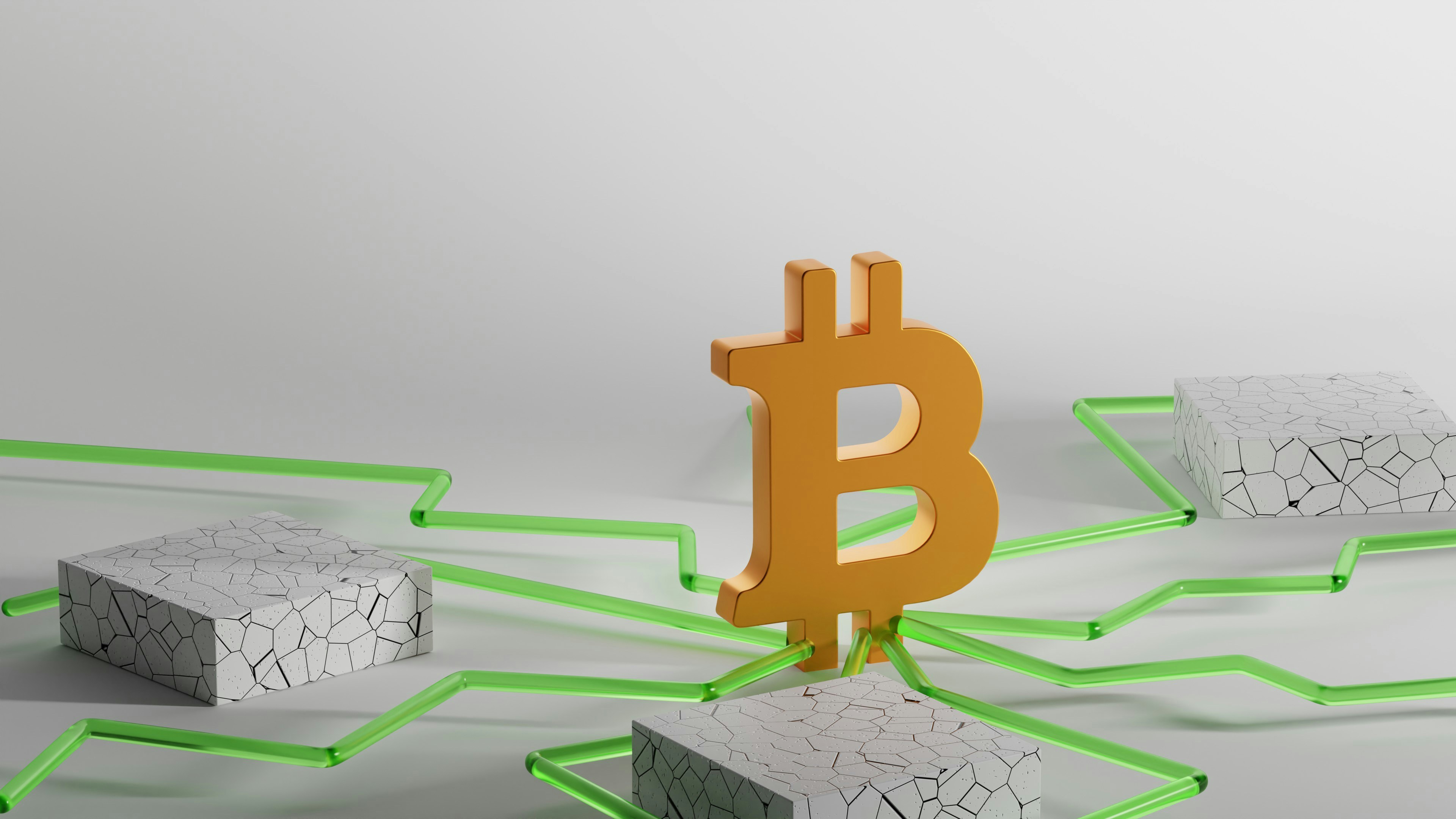 Dead Monkey Walking: How to Read the On-Chain Autopsy Before the Rug Pull Kills Your Portfolio