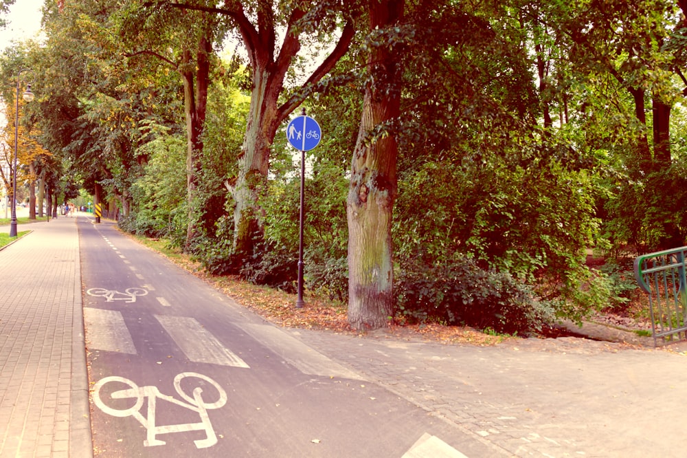 a road with trees on the side