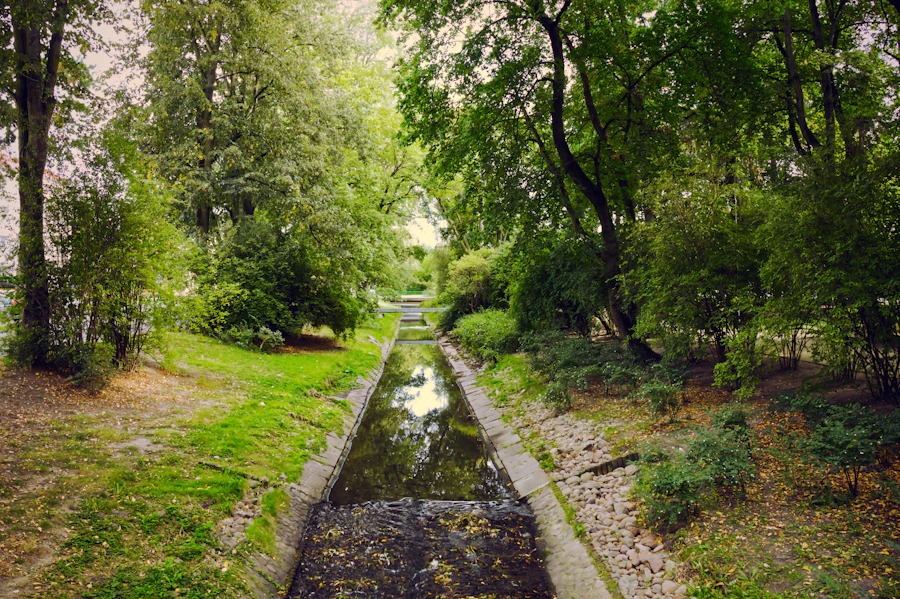 Leafy path through Białystok parkland