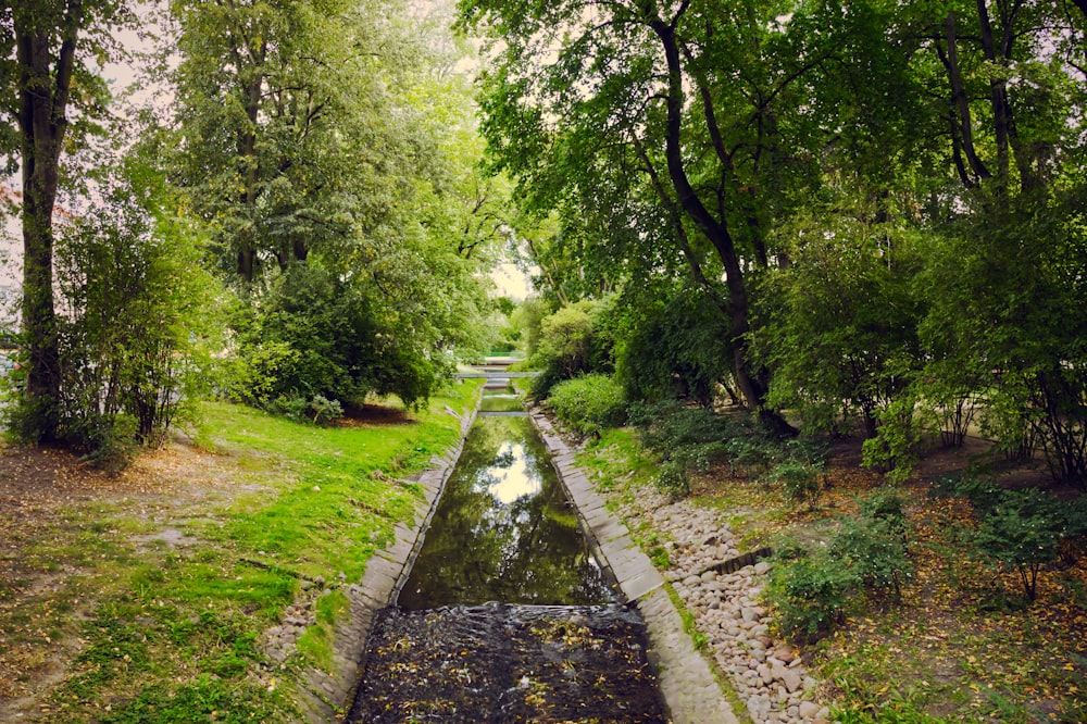 a path through a park