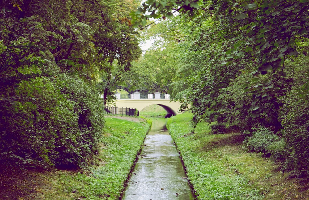 a small bridge over a stream