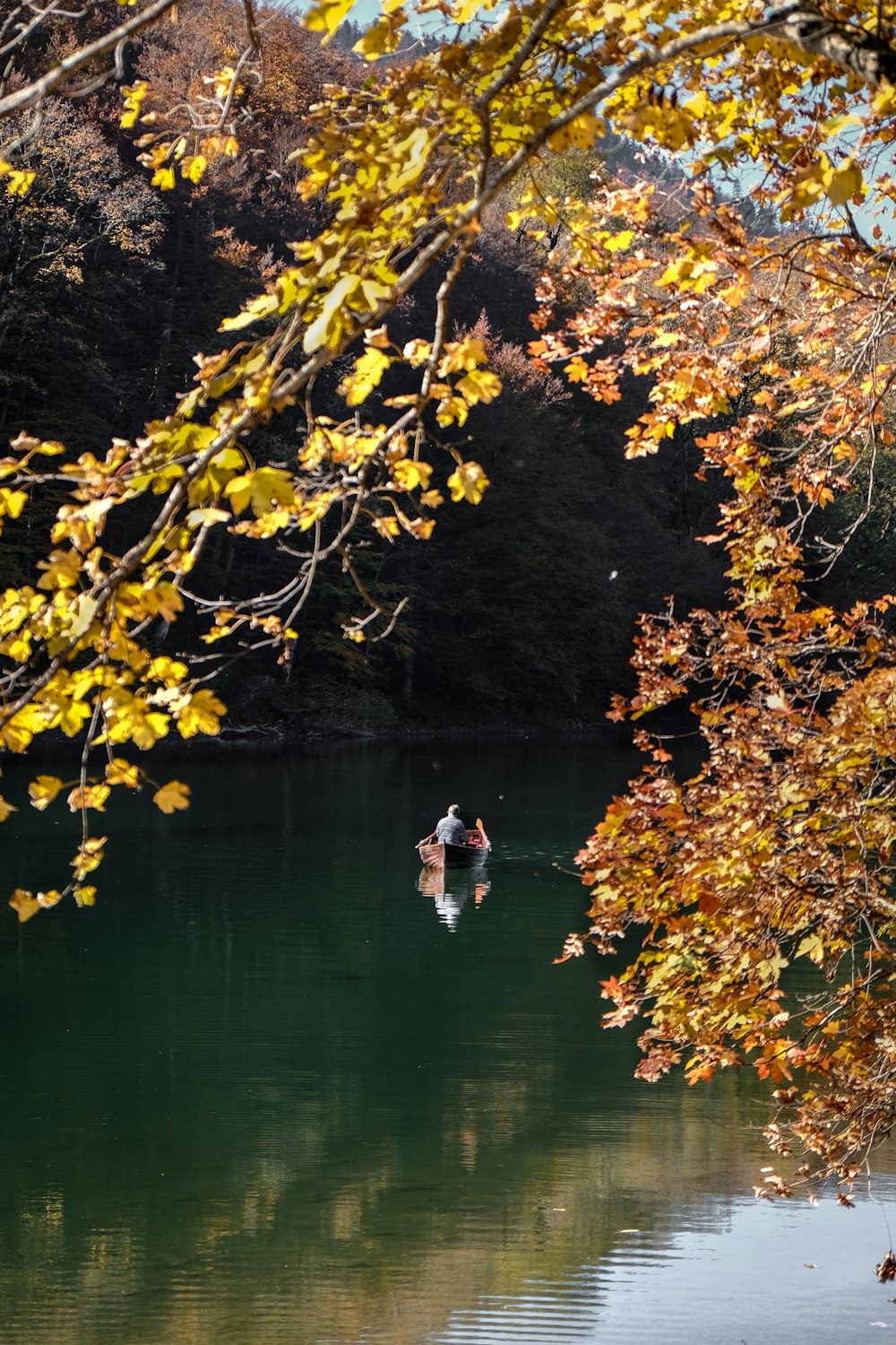 a person in a body of water surrounded by trees