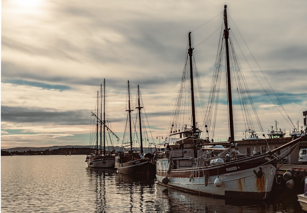 several boats are docked