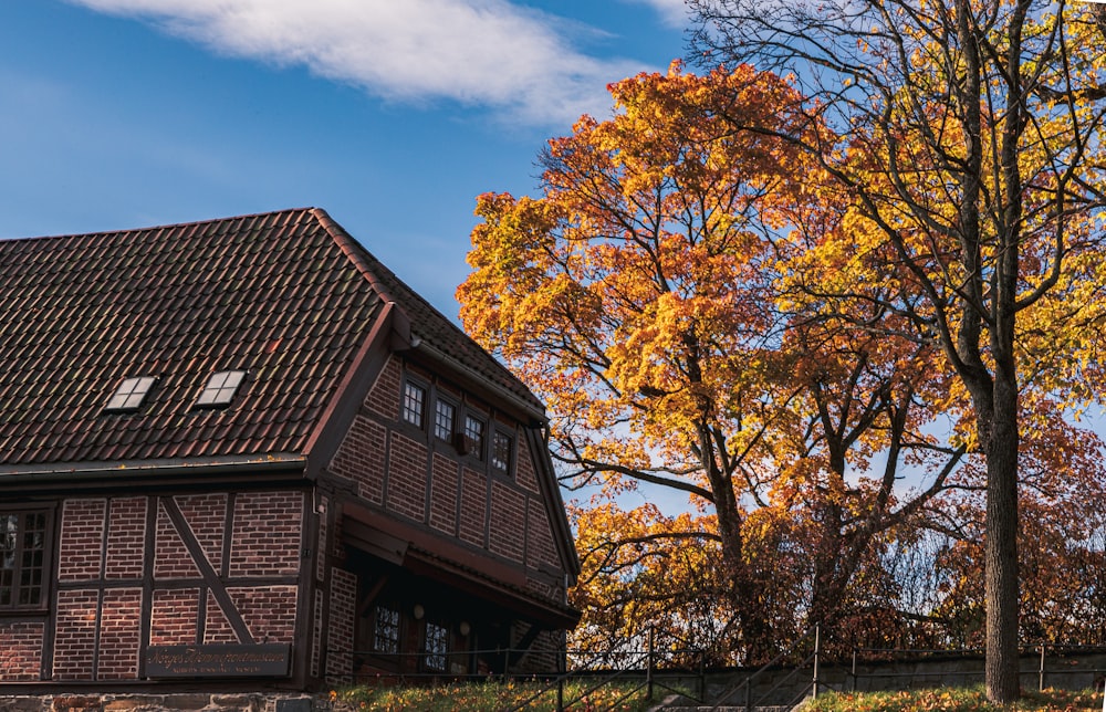 a barn with trees around it