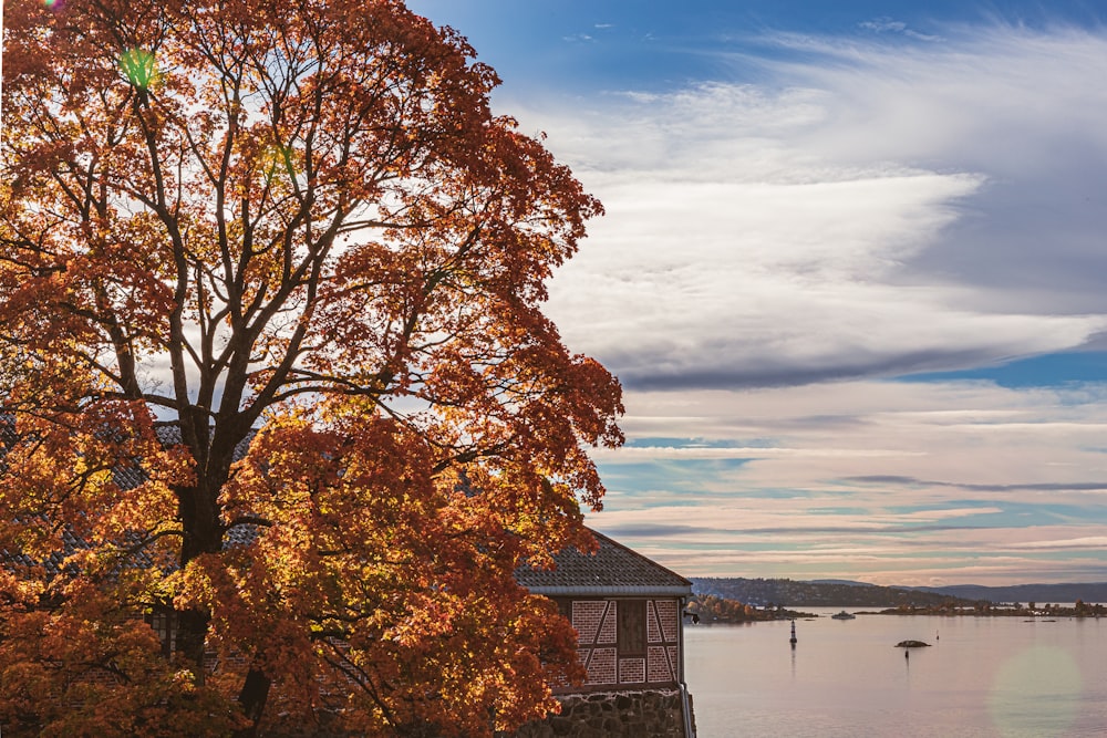 a house next to a body of water