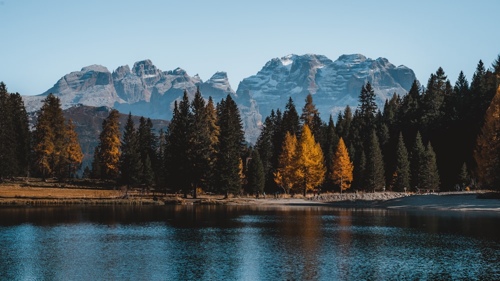 a lake with trees and mountains in the background