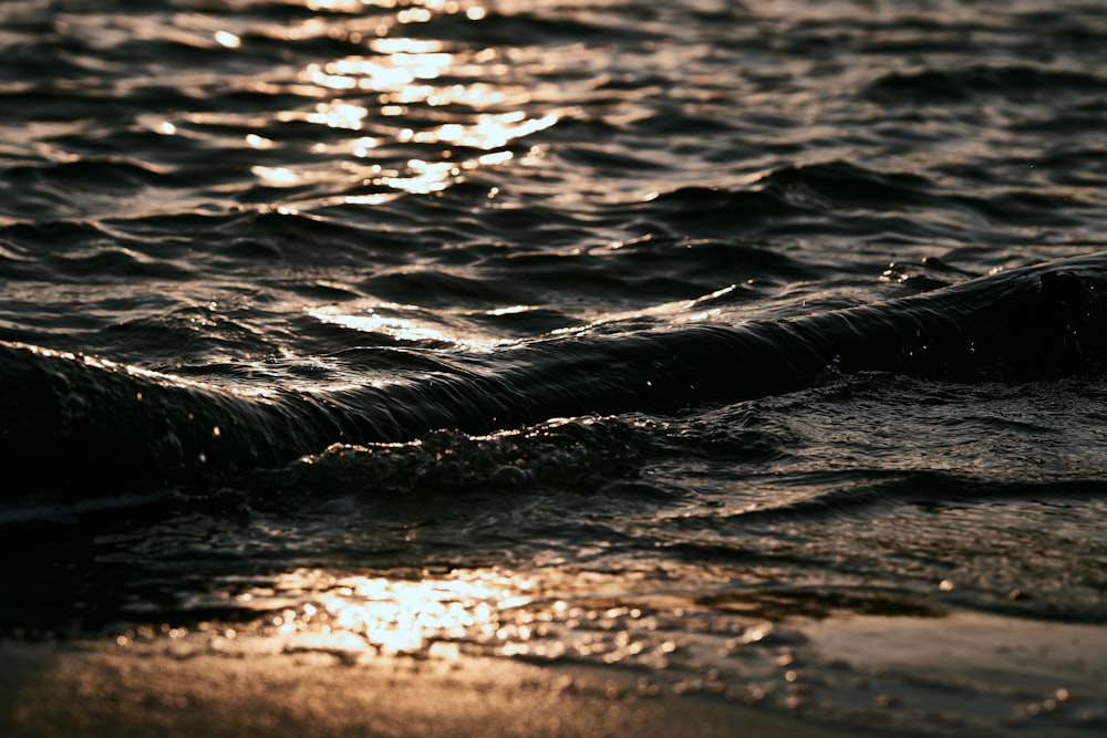 waves on a beach