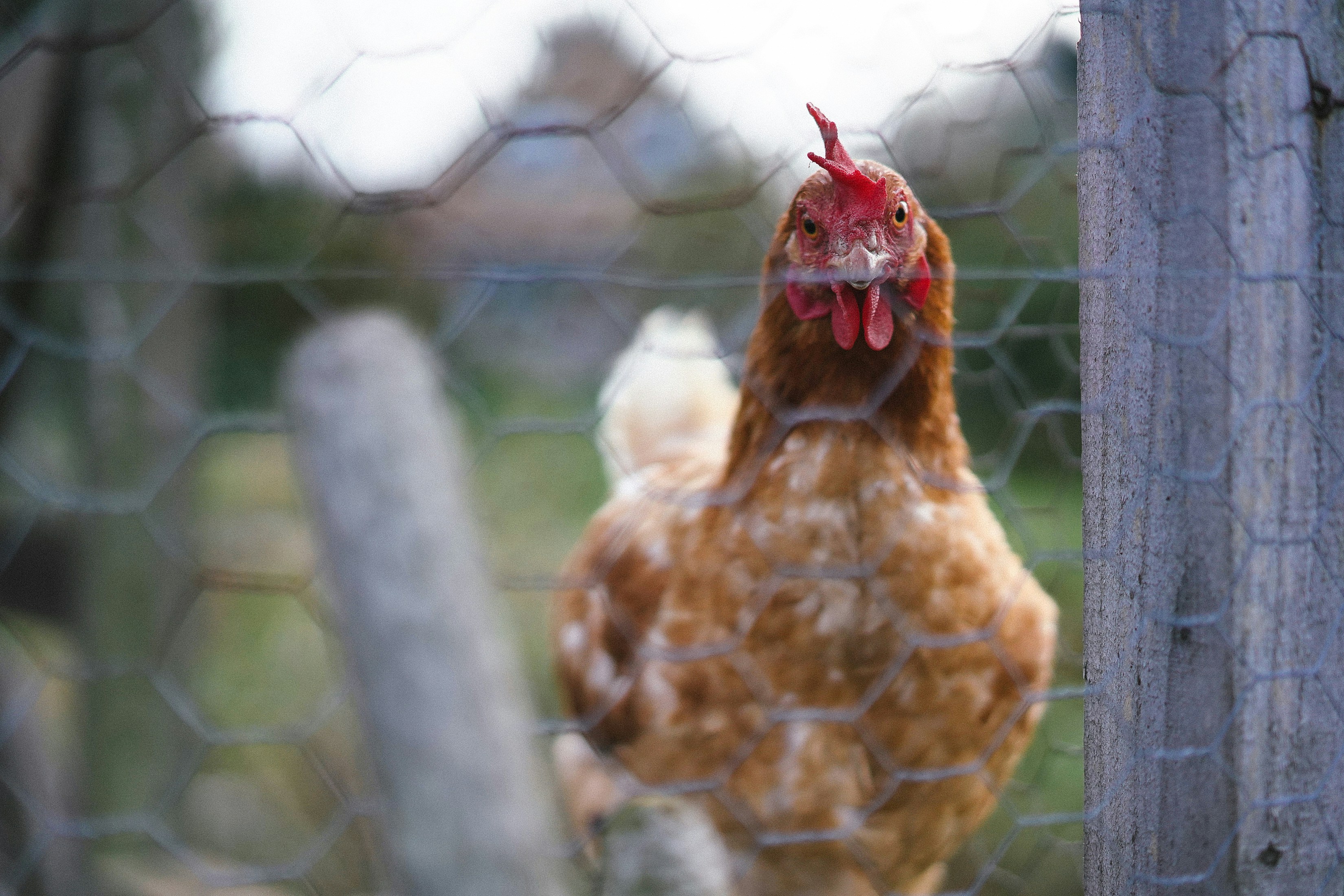 Photo by philhearing