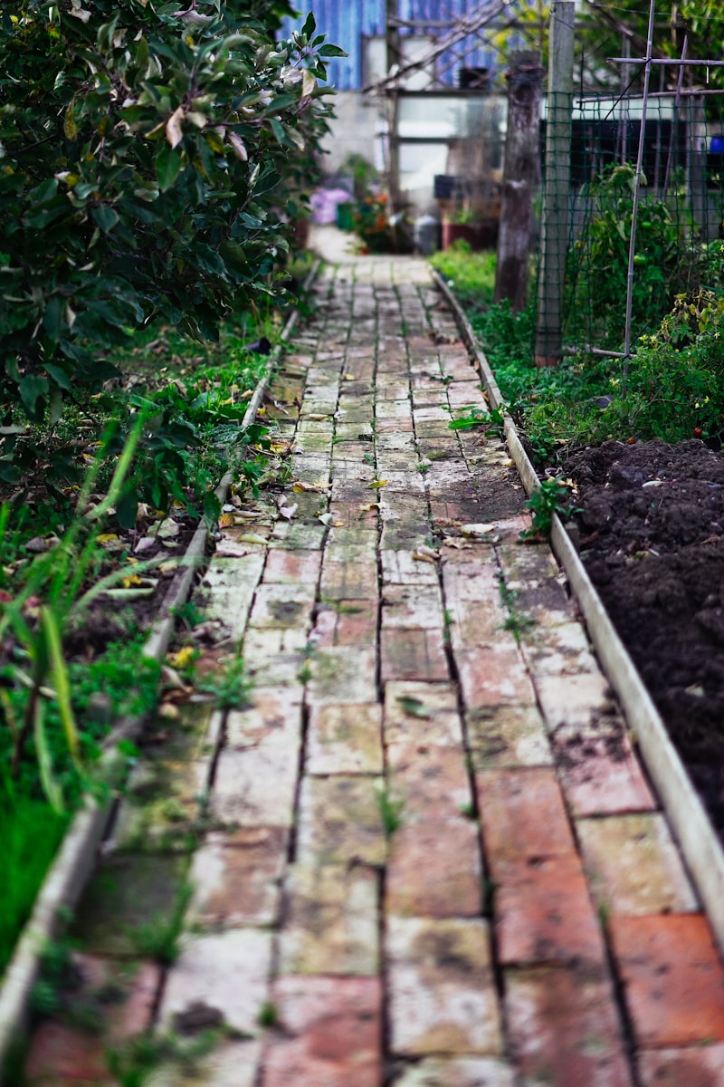 Landscape Gardens