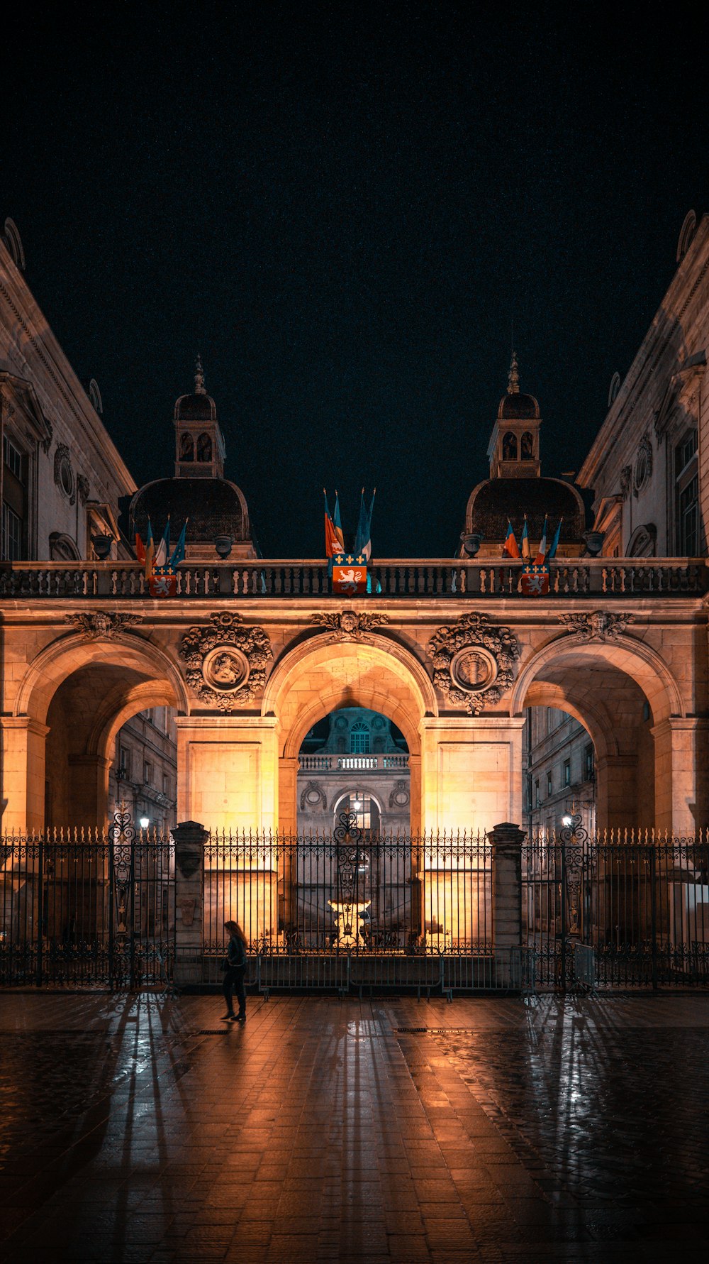 a person standing in front of a gated entrance with flags on it