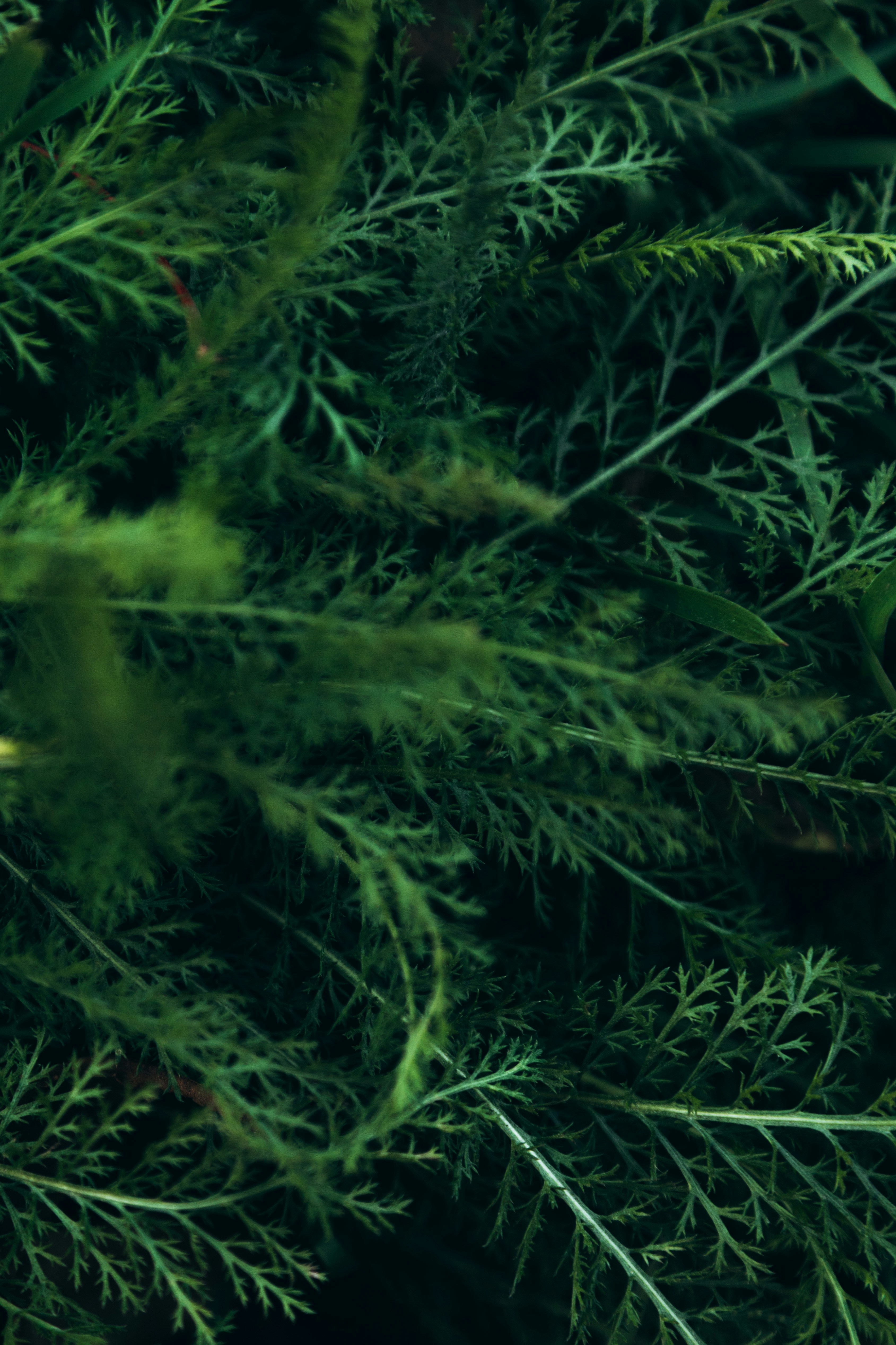 Photo by yarossvit_prod