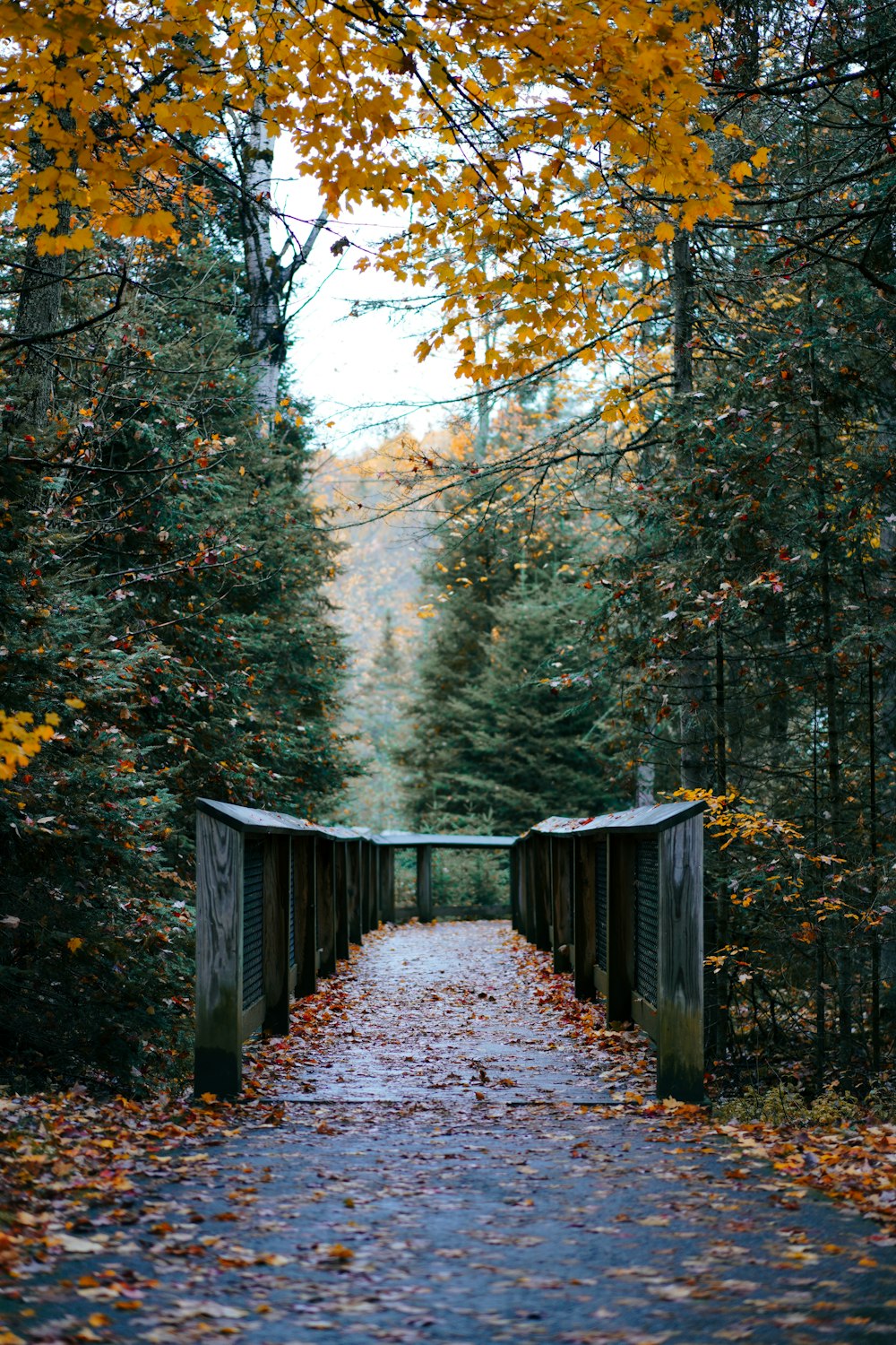 a wooden bridge over a river