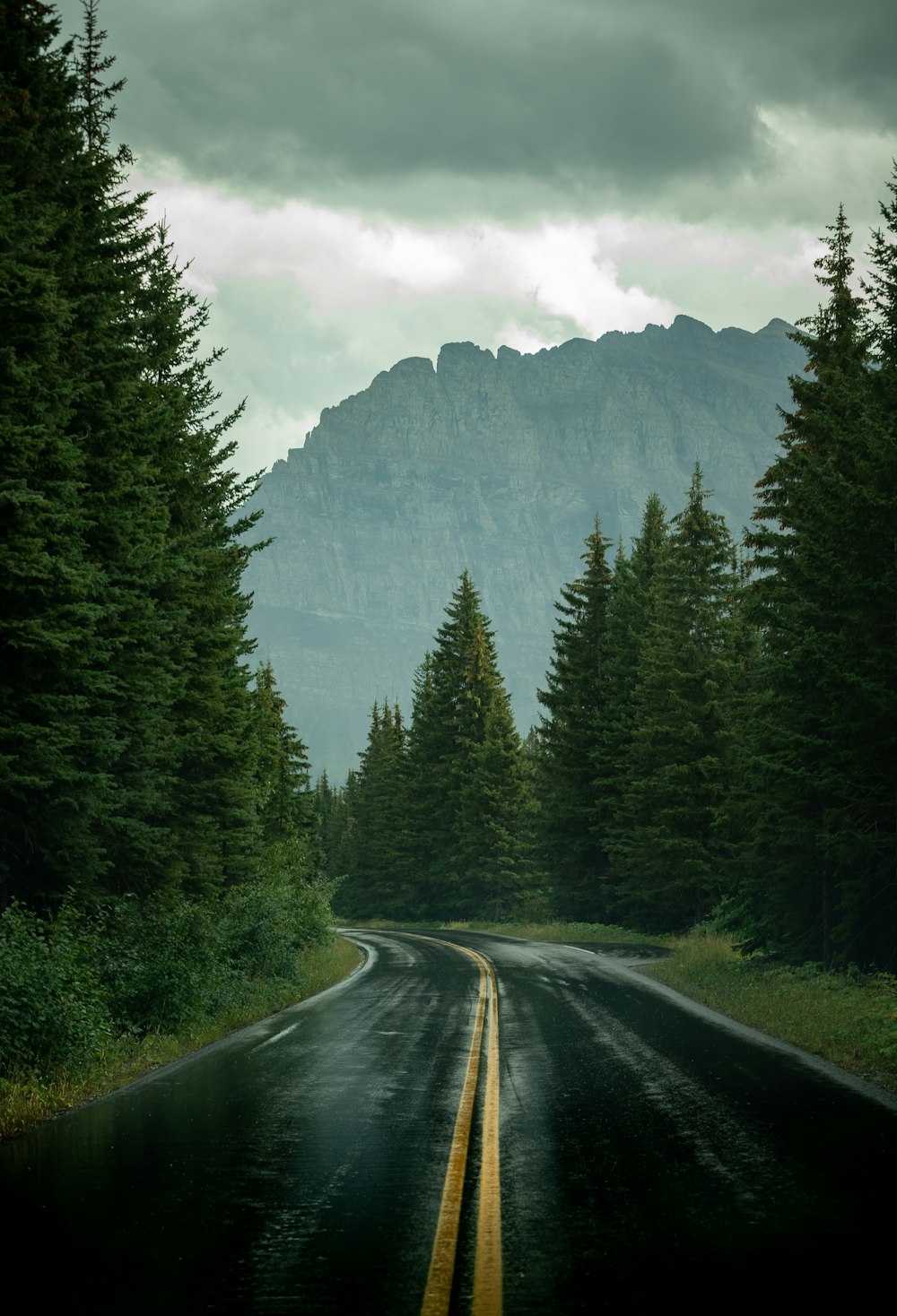 a road with trees on the side